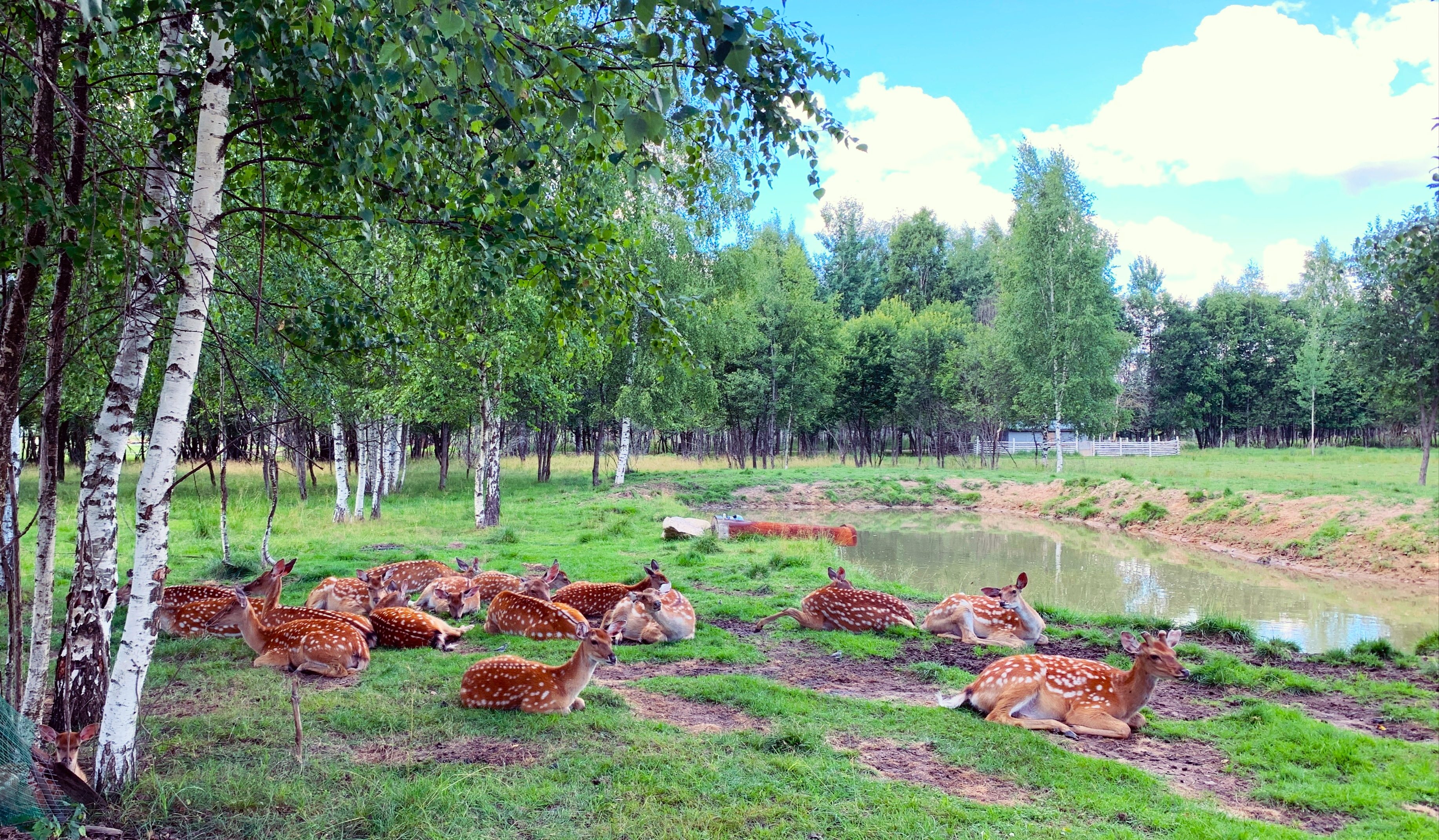 Фото Место 7