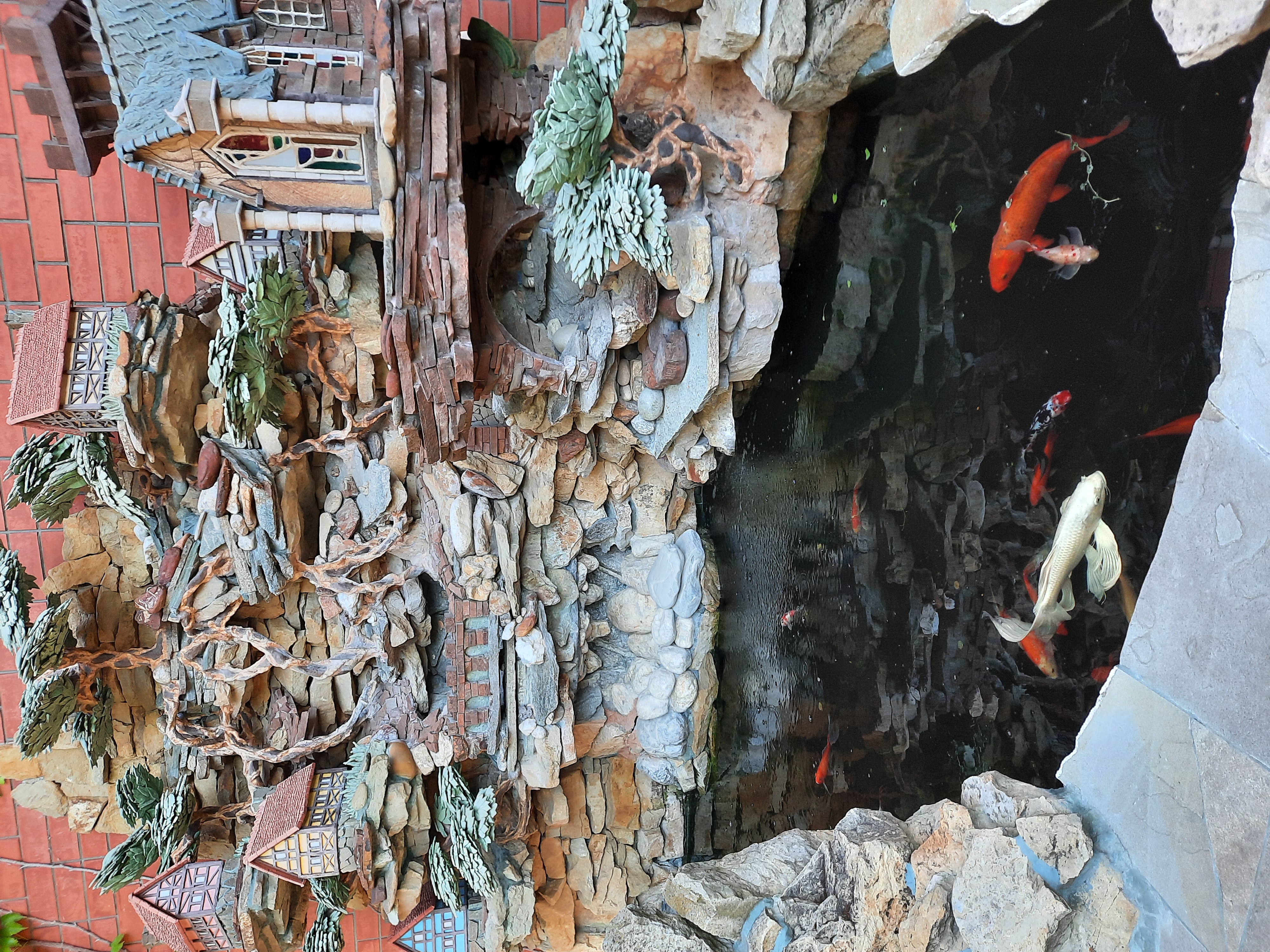 Фото Гелиос