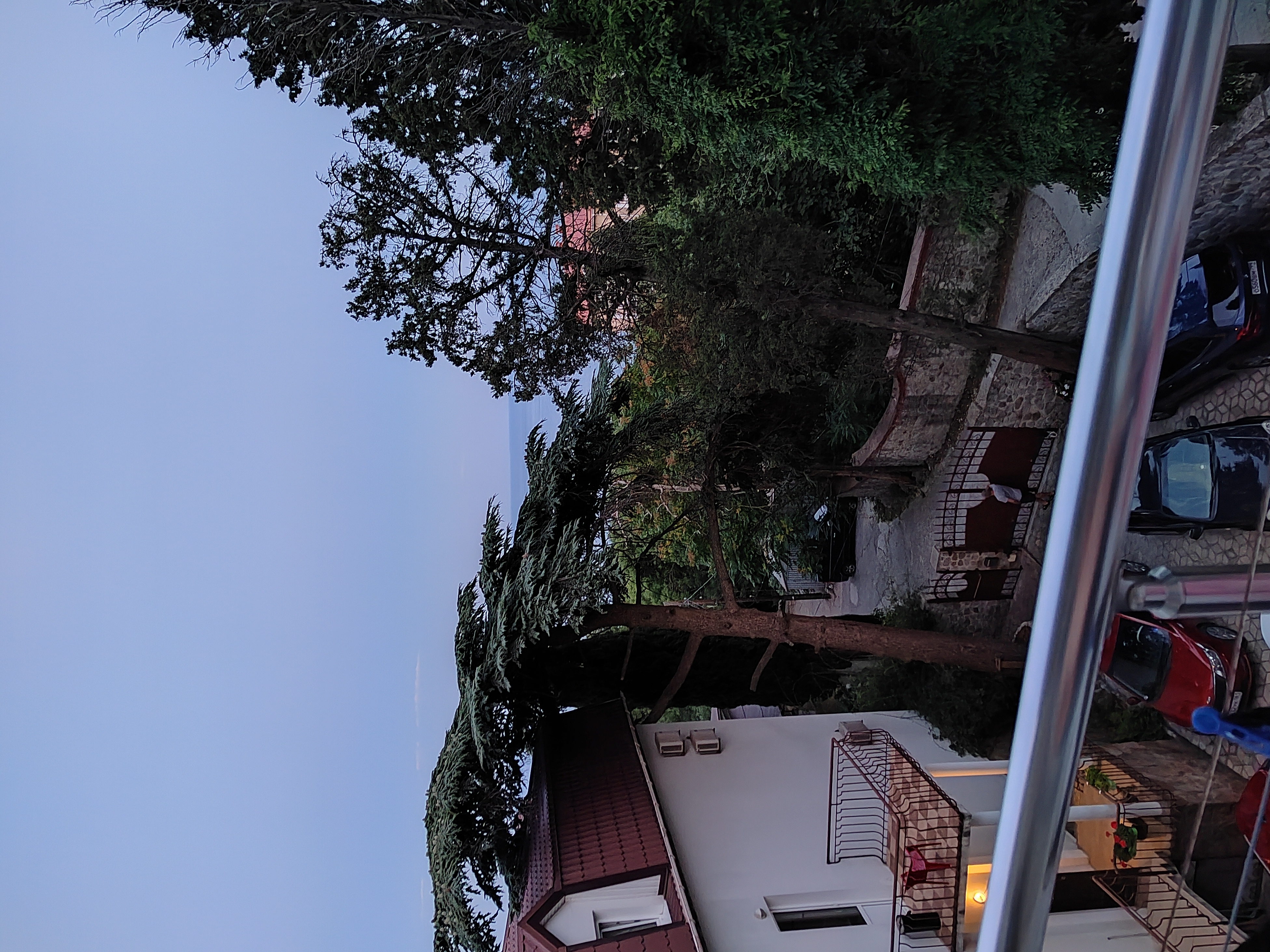 Фото Кедр-Запад