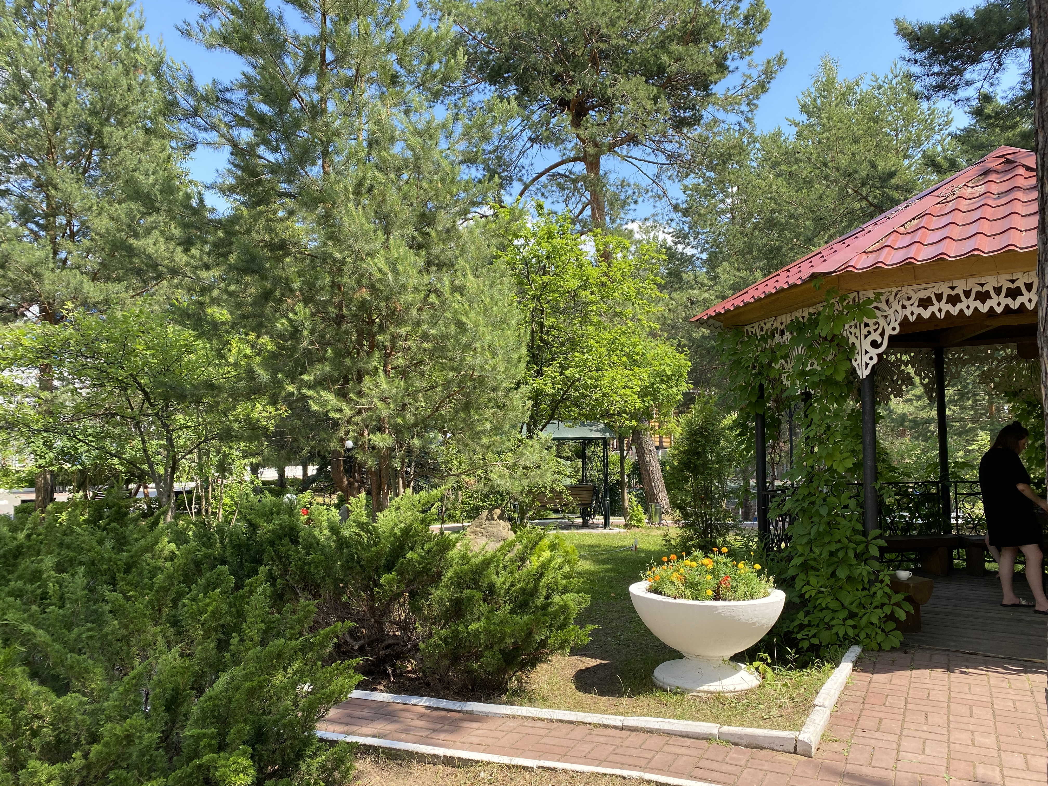 Фото Росинка