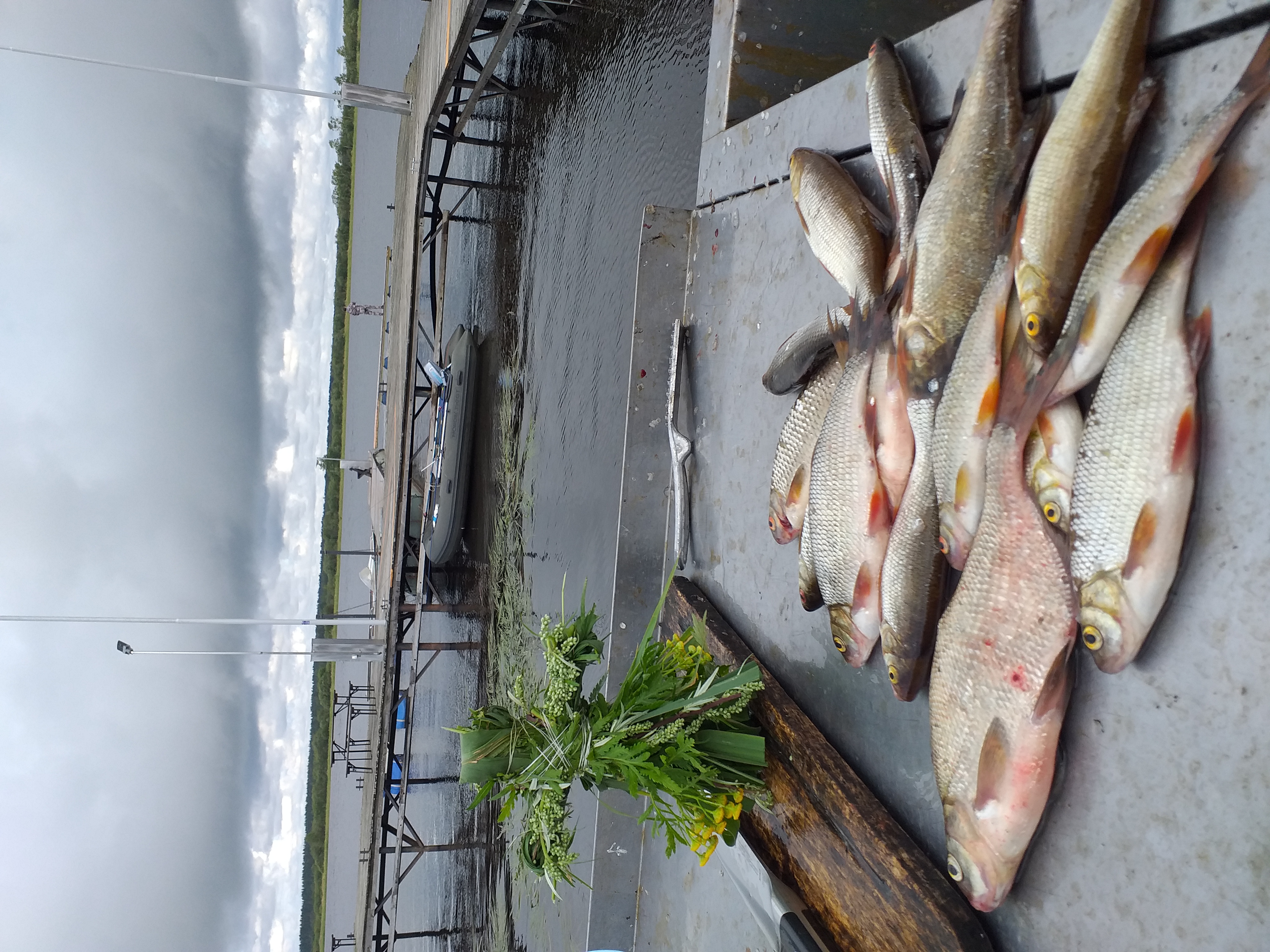 Фото Свирская