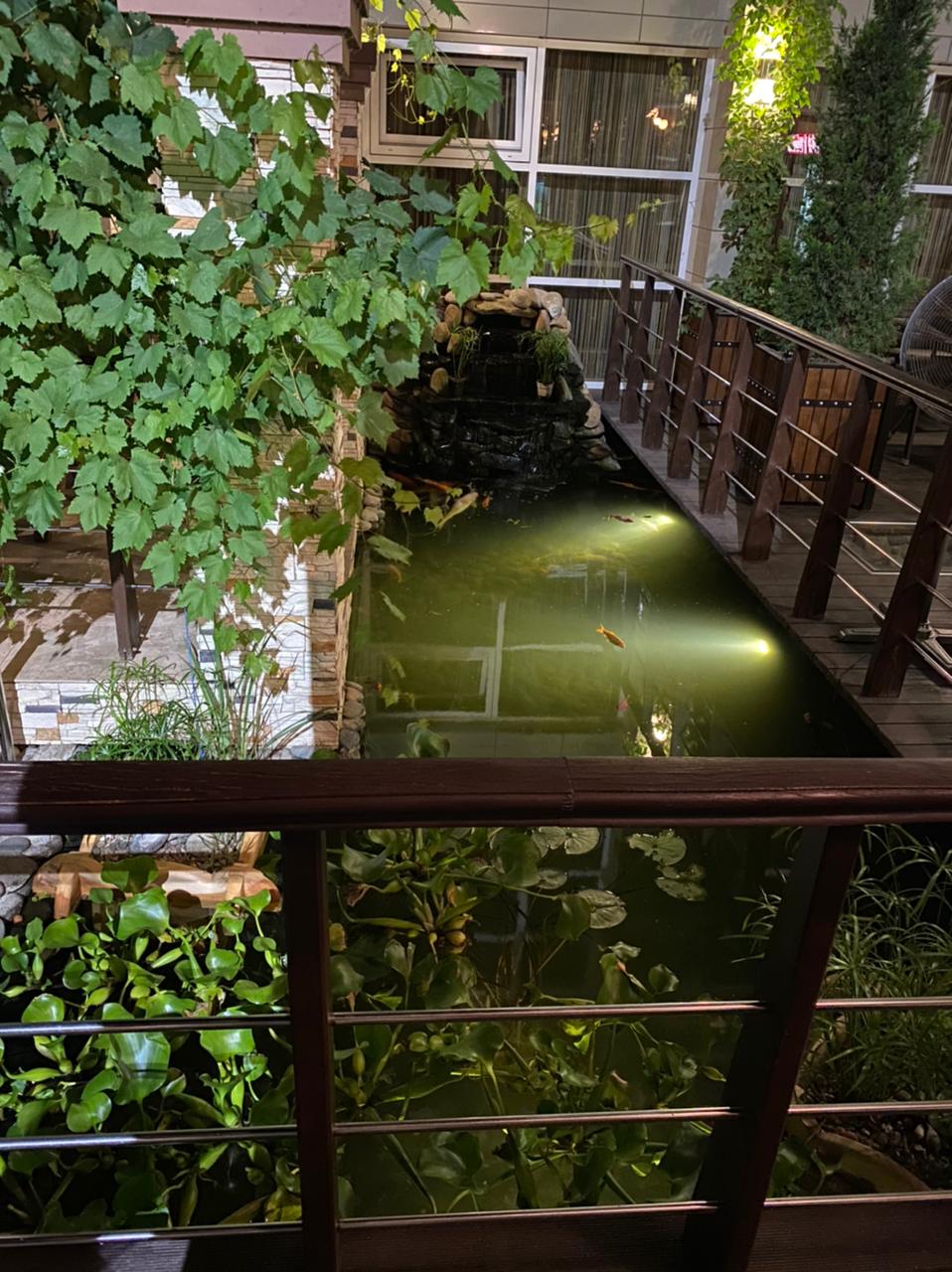 Фото Бельведер