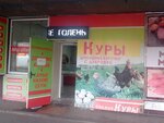 Куры (ulitsa Gagarina, 32), egg and poultry meat