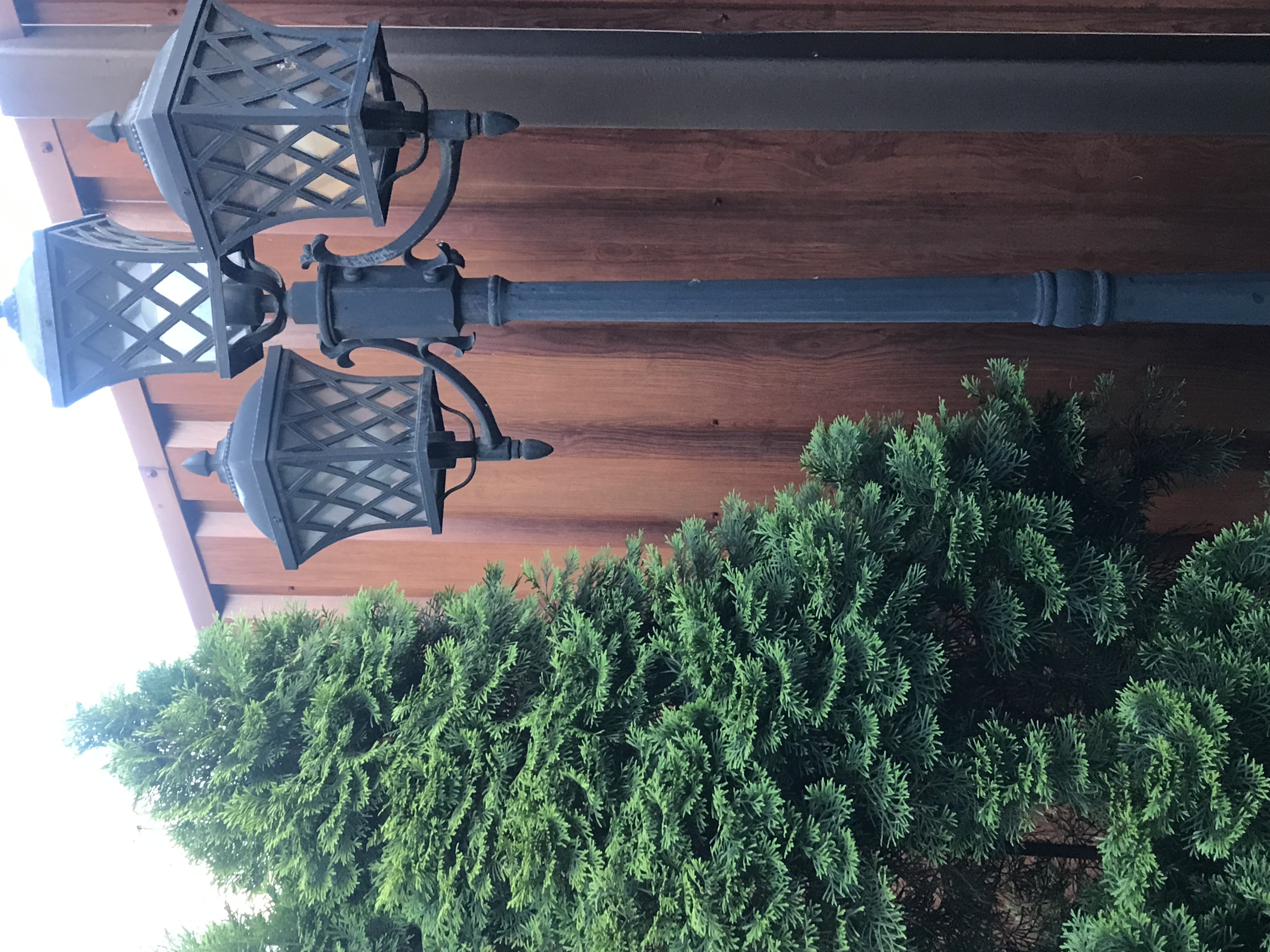 Фото Прованс