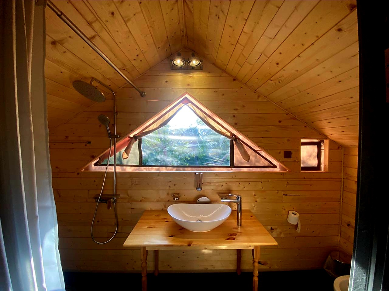 Фото Звезда