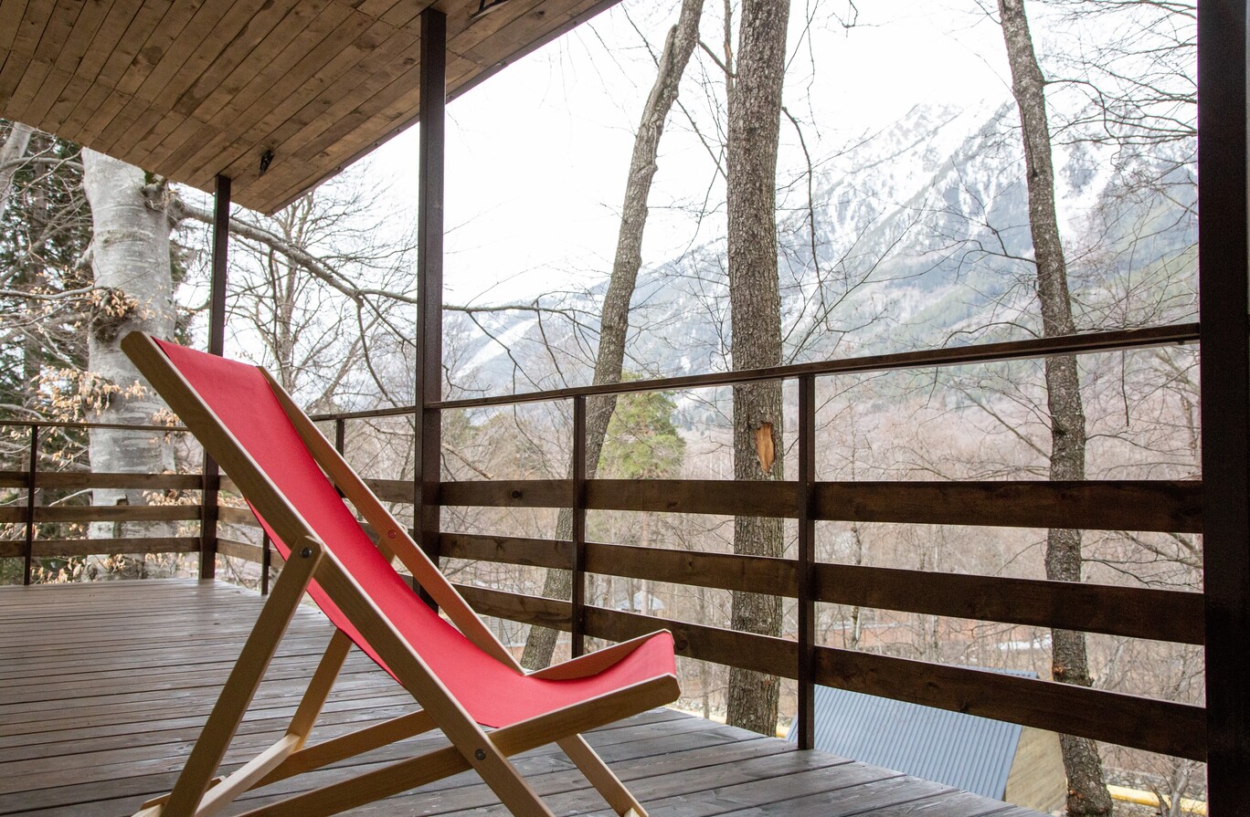 Фото Ягодный тис