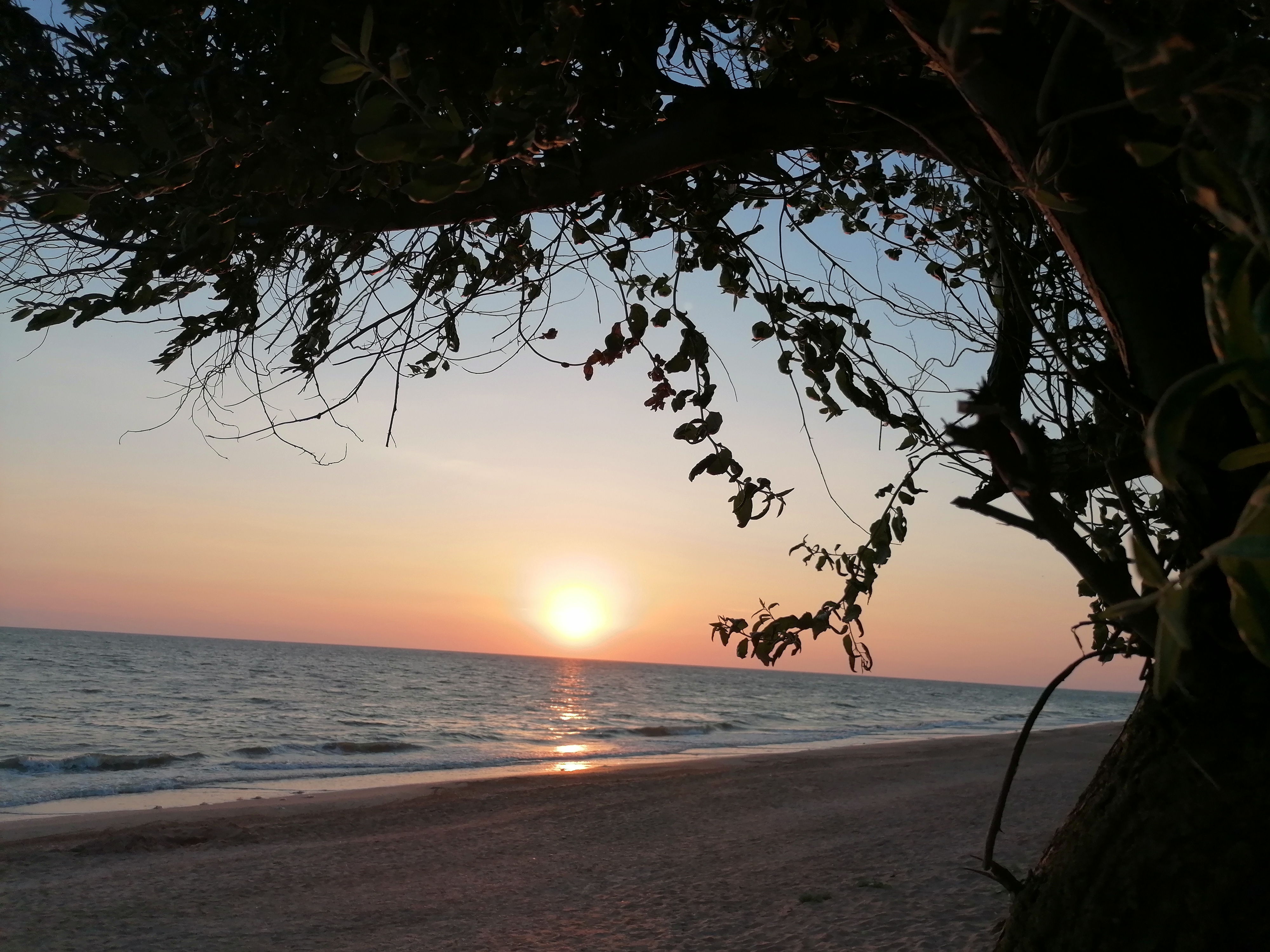 Фото Форвард