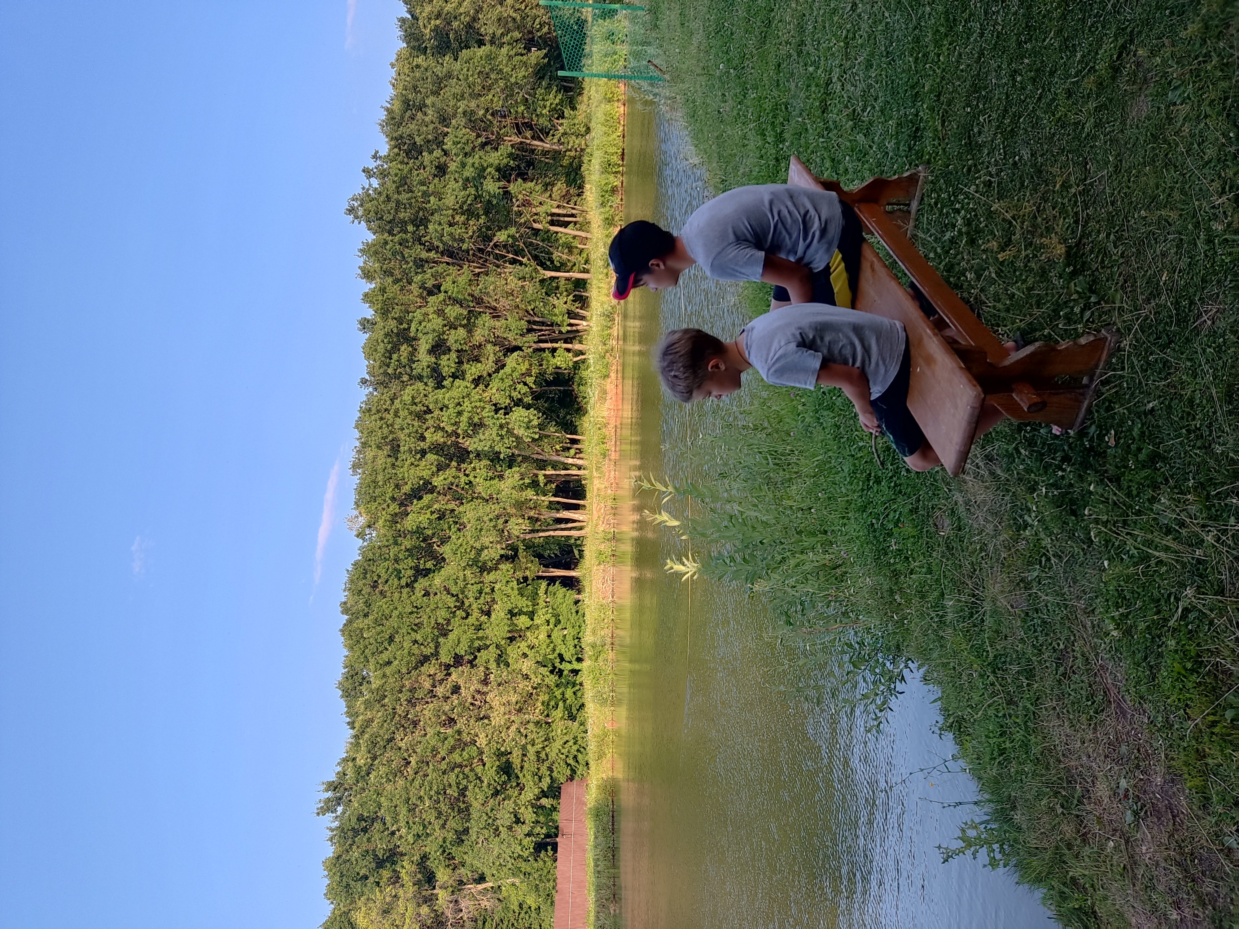 Фото Дубрава