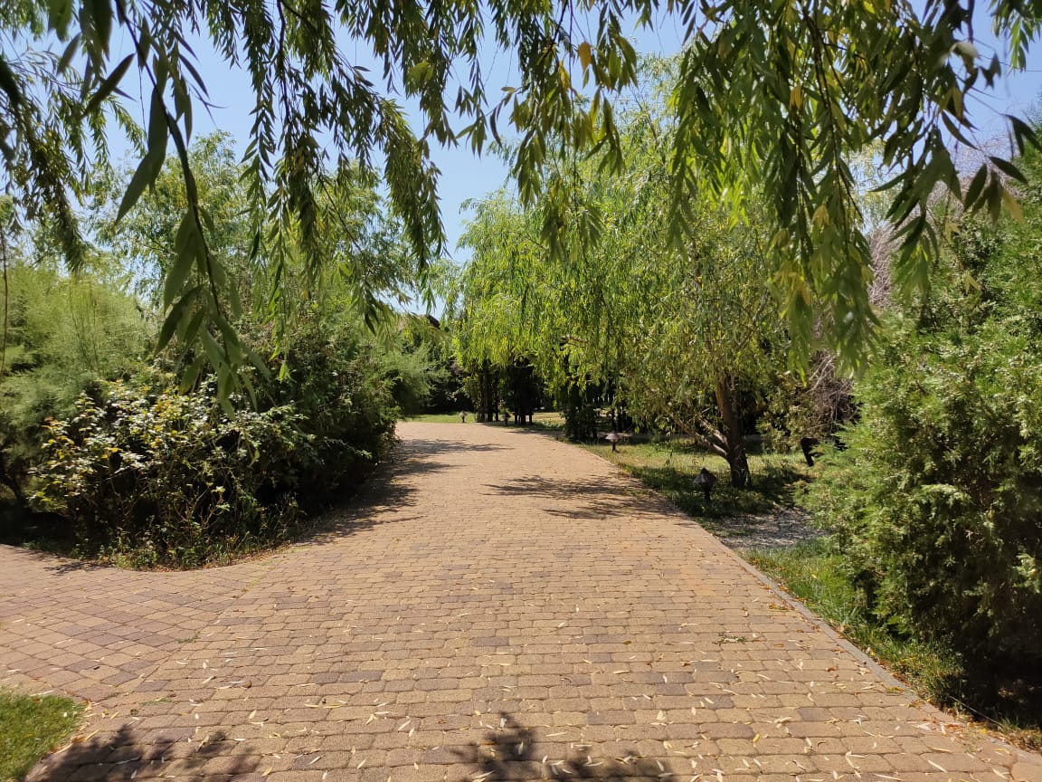 Фото Берег мечты