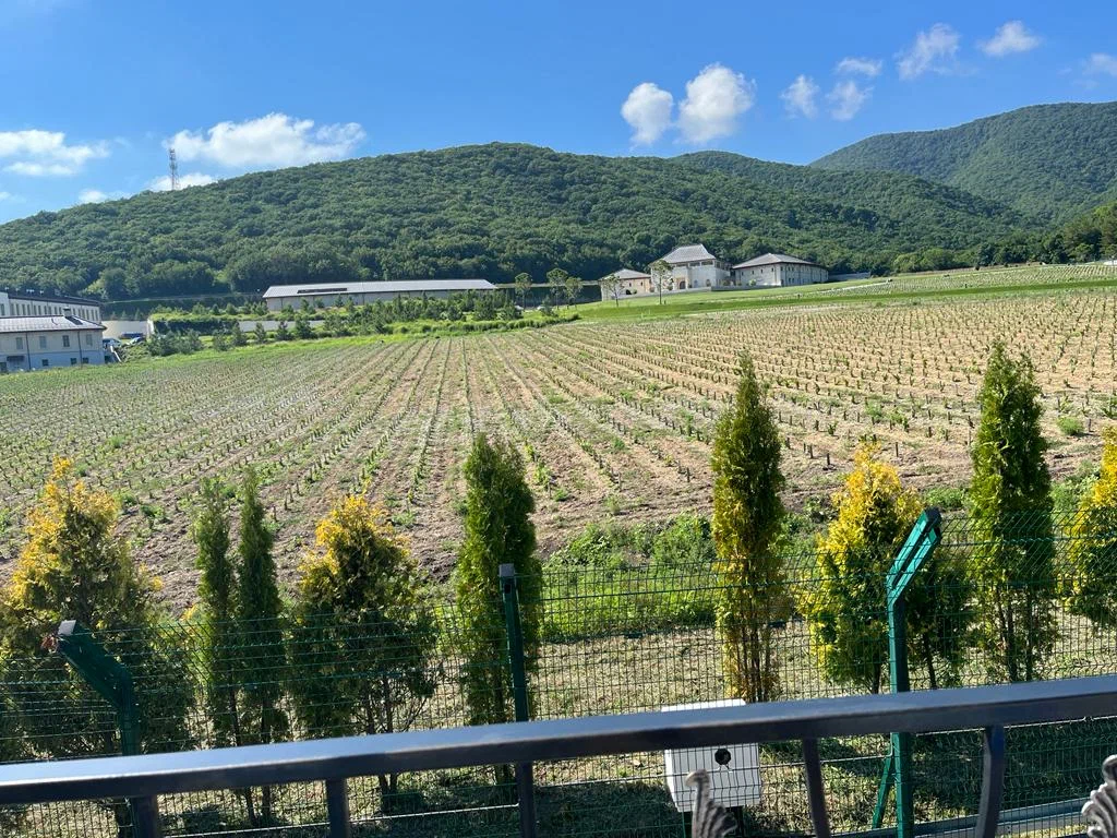 Фото Stella al mare