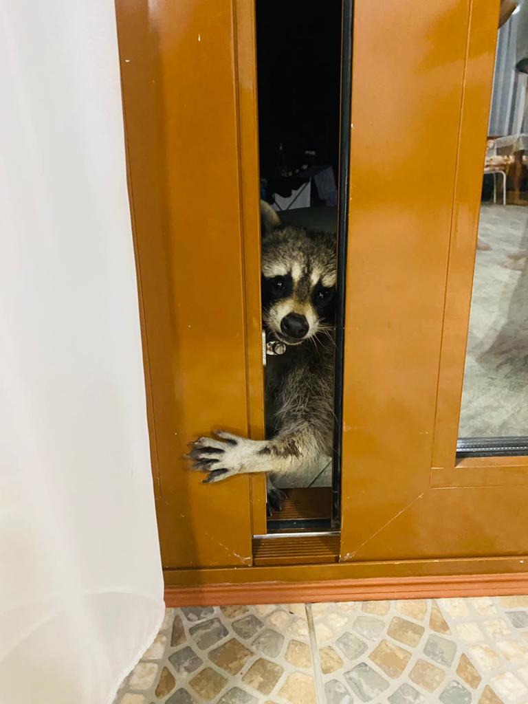 Фото Дом в Кедровой роще