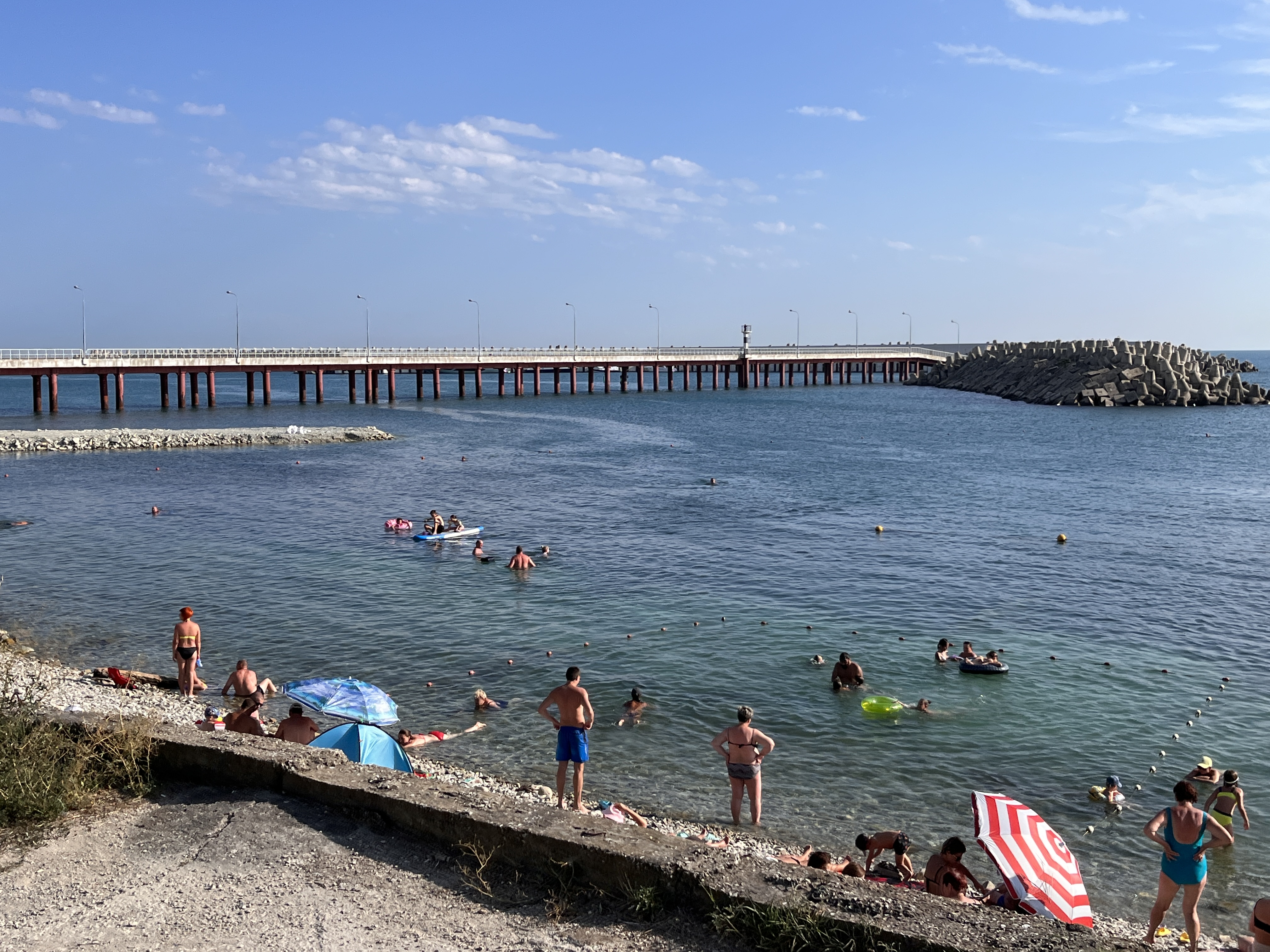 Фото Под соснами