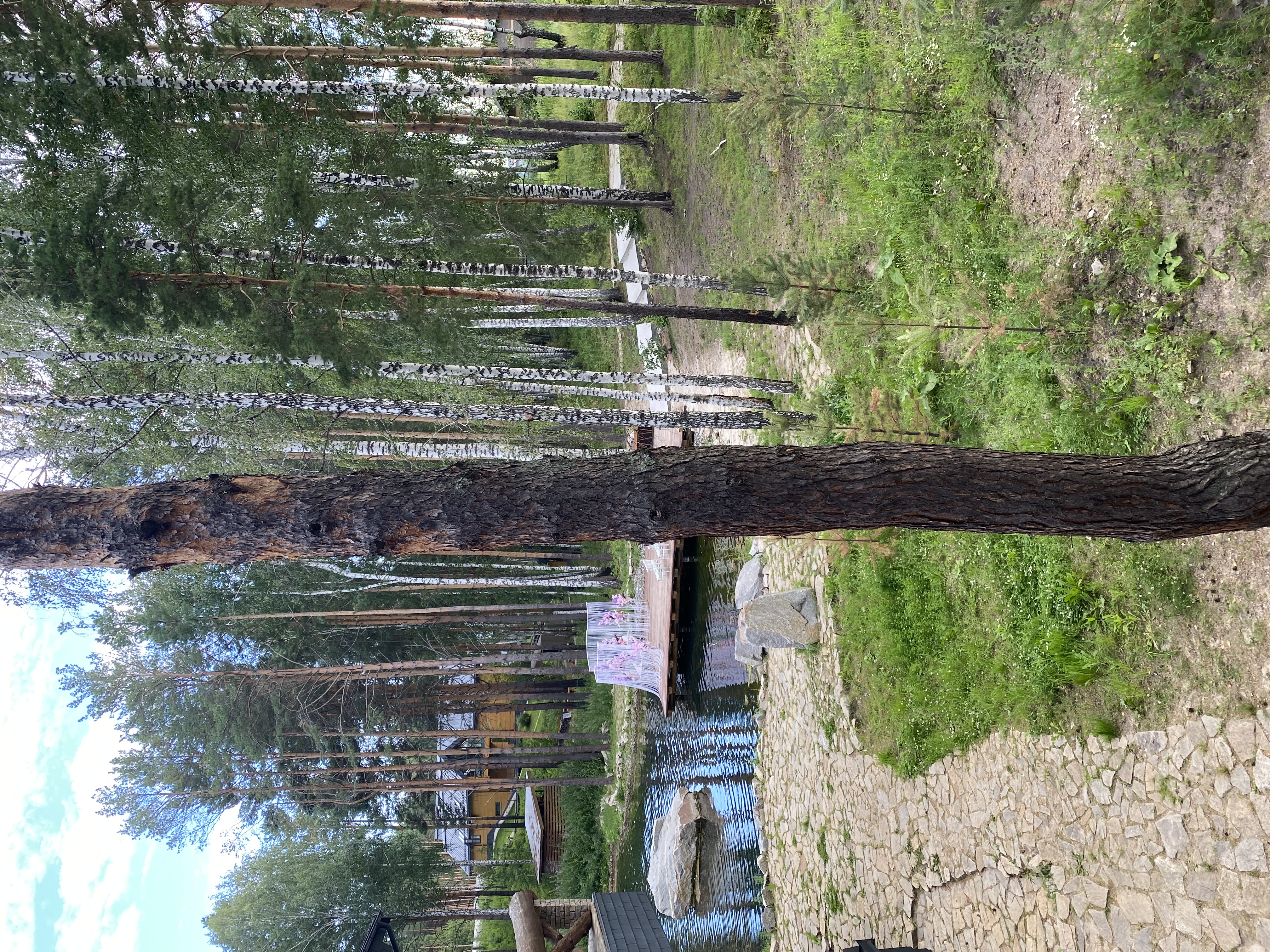 Фото Камнево