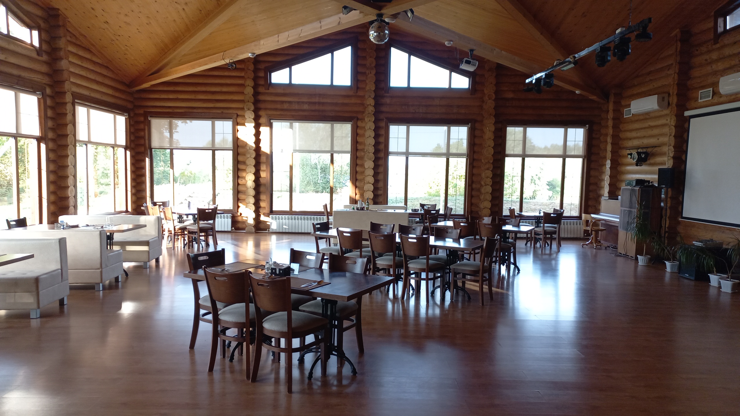 Фото Синяя птица