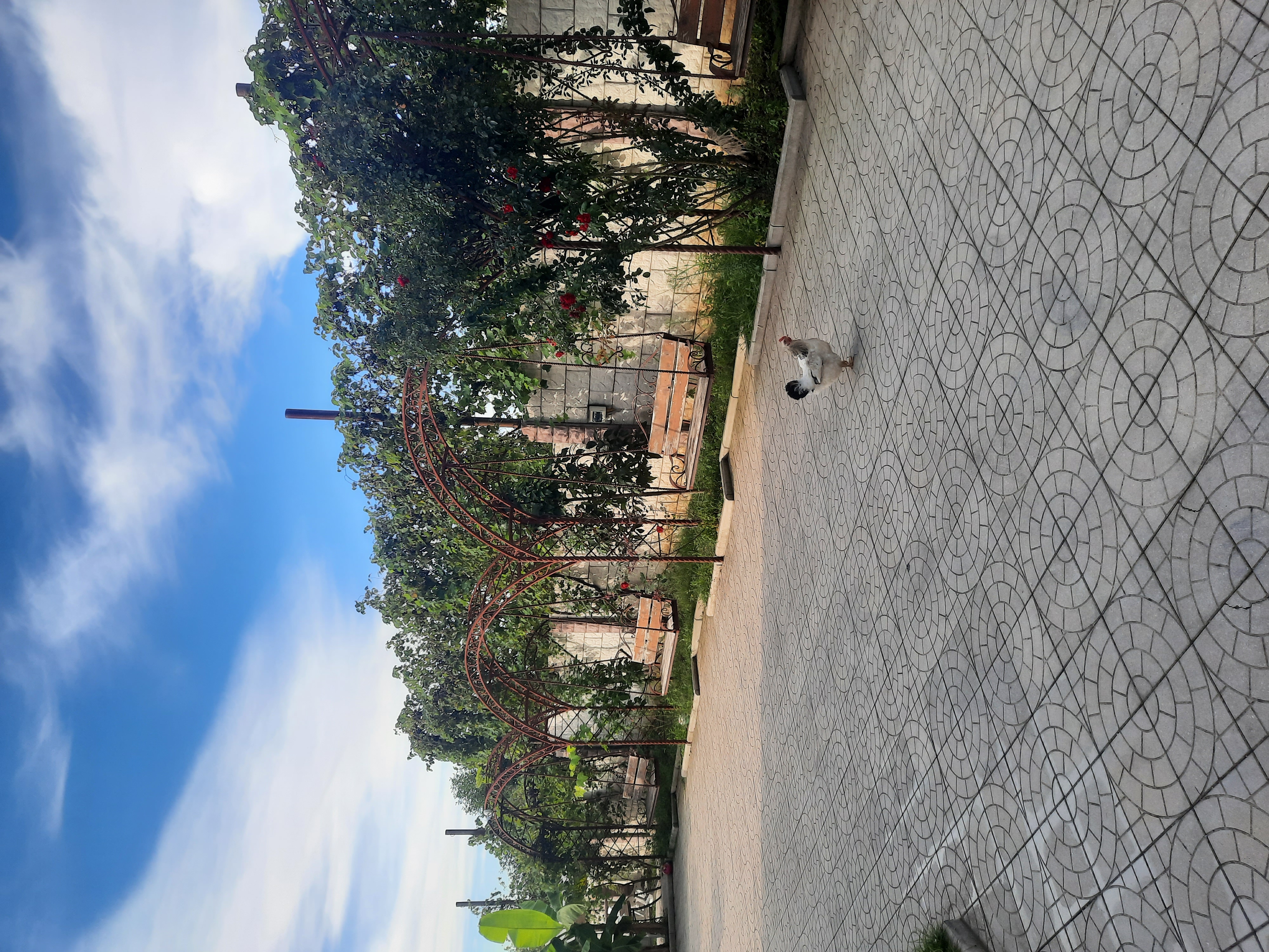 Фото Villa Familia