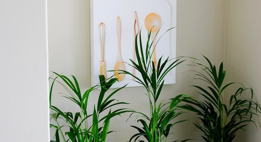 Фото Bamboo Guest House