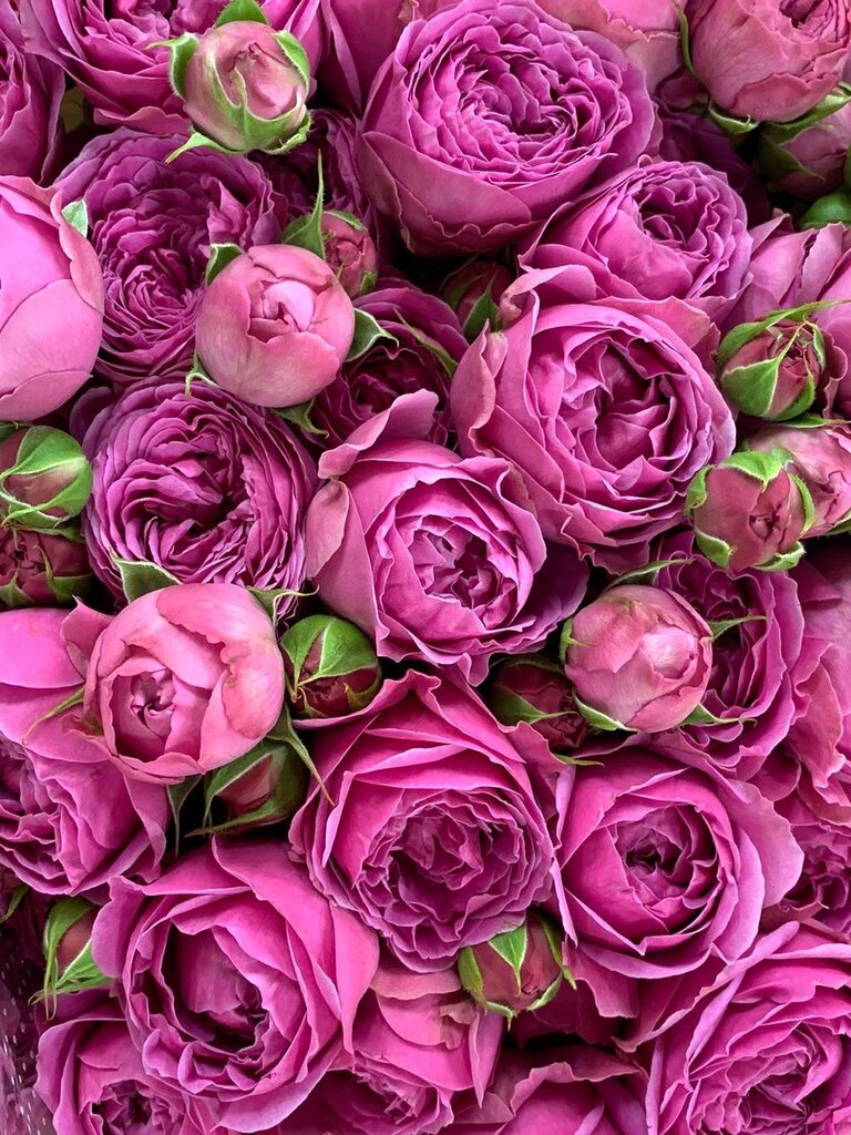 Flower shop Perviy cvetochniy, Rostov‑na‑Donu, photo