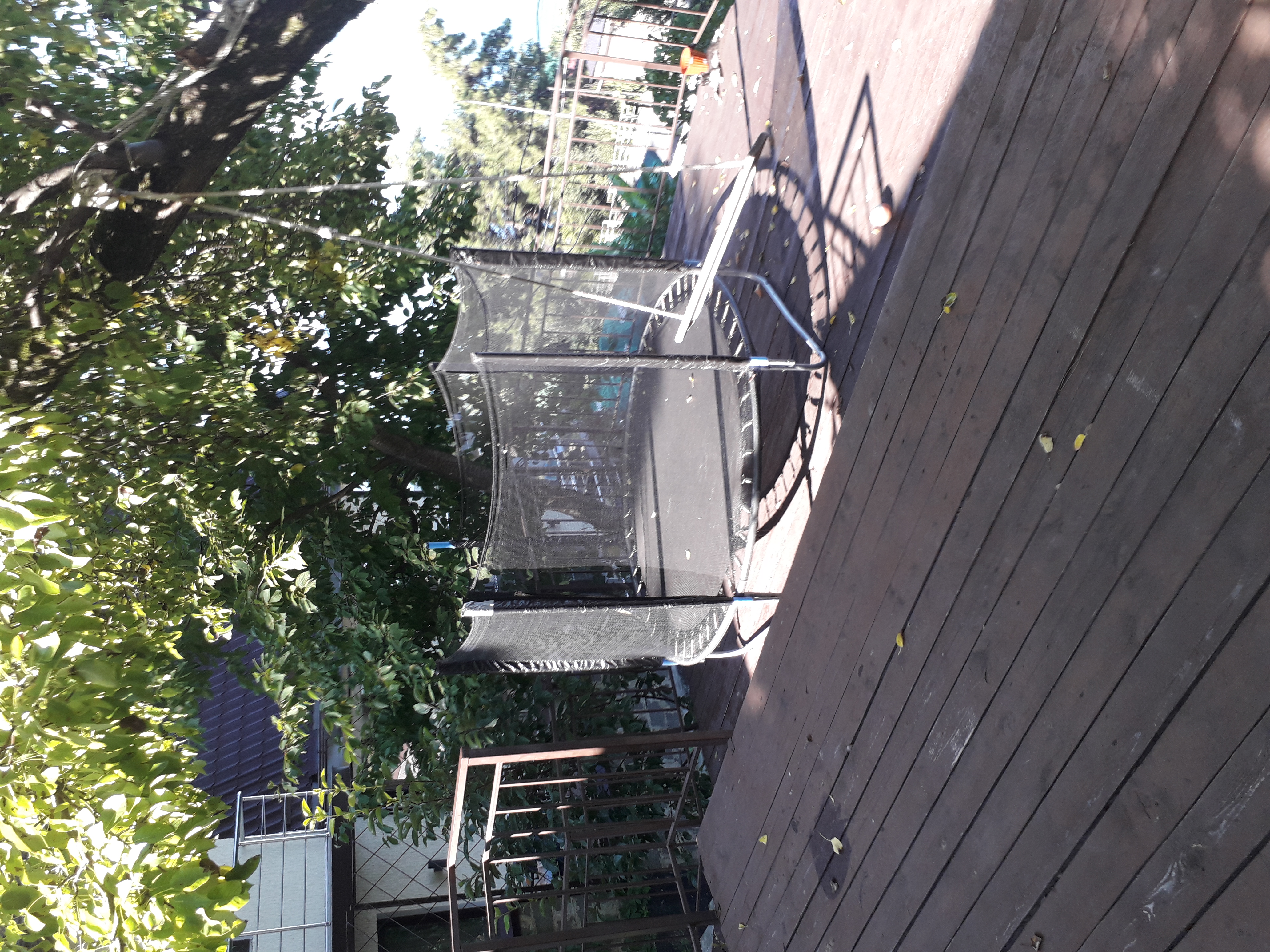 Фото Лазурный