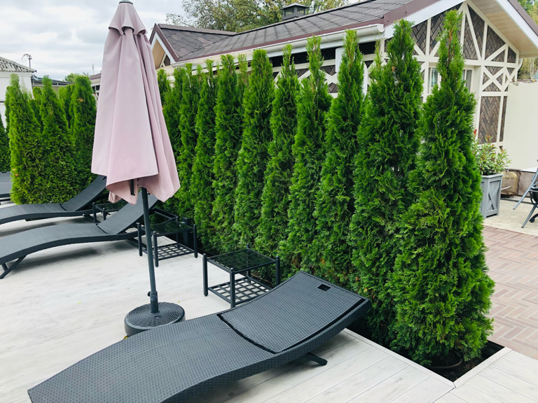 Фото Гринпарк