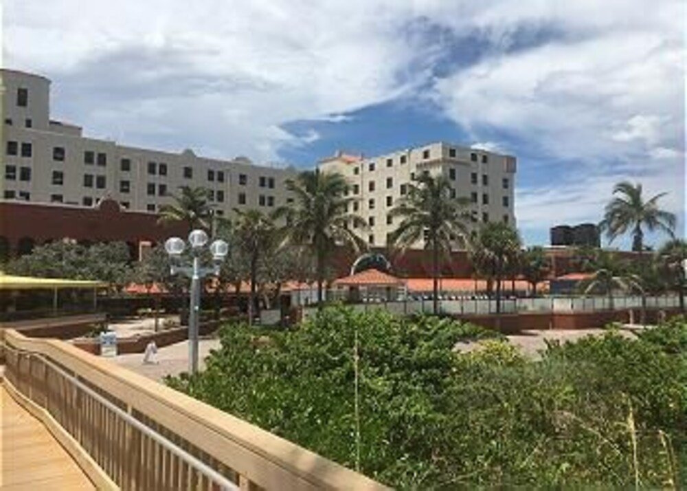 Фото Hollywood Beach Resort- Beautiful Large Studio