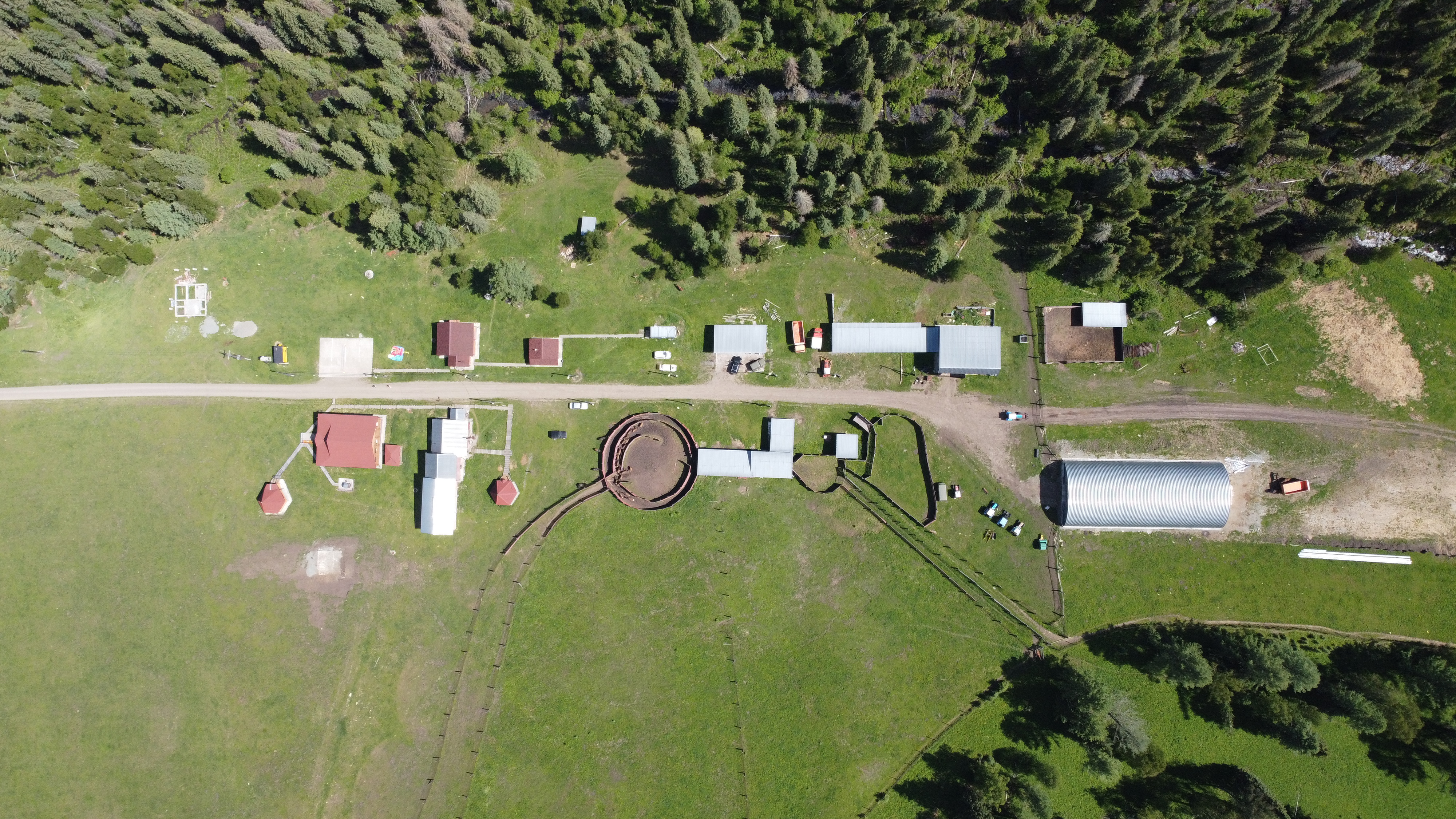 Фото Шебалинский питомник Королевский марал