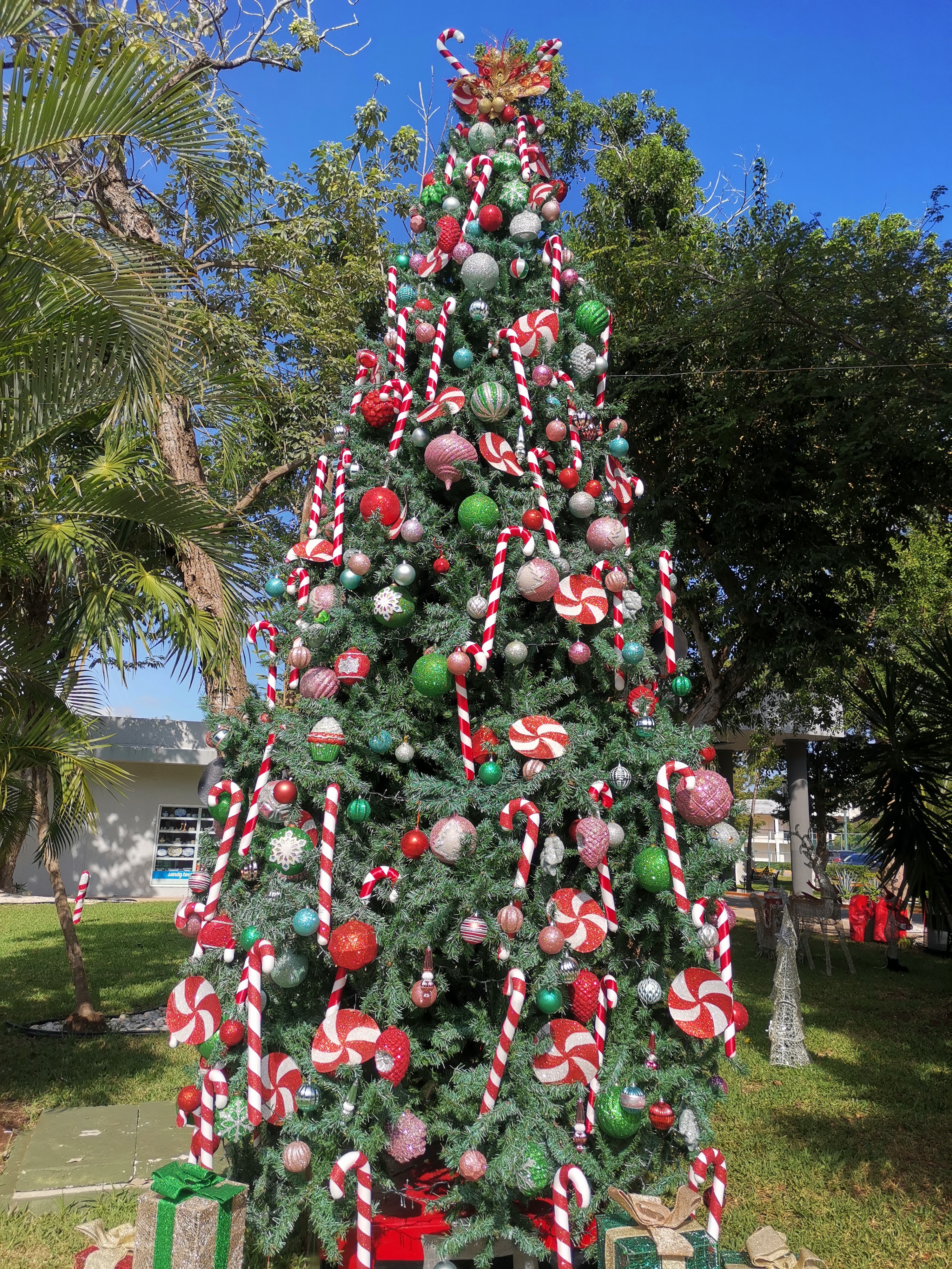 Фото Hotel Riu Lupita 