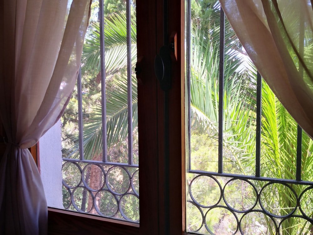 Фото Villa Fenavista