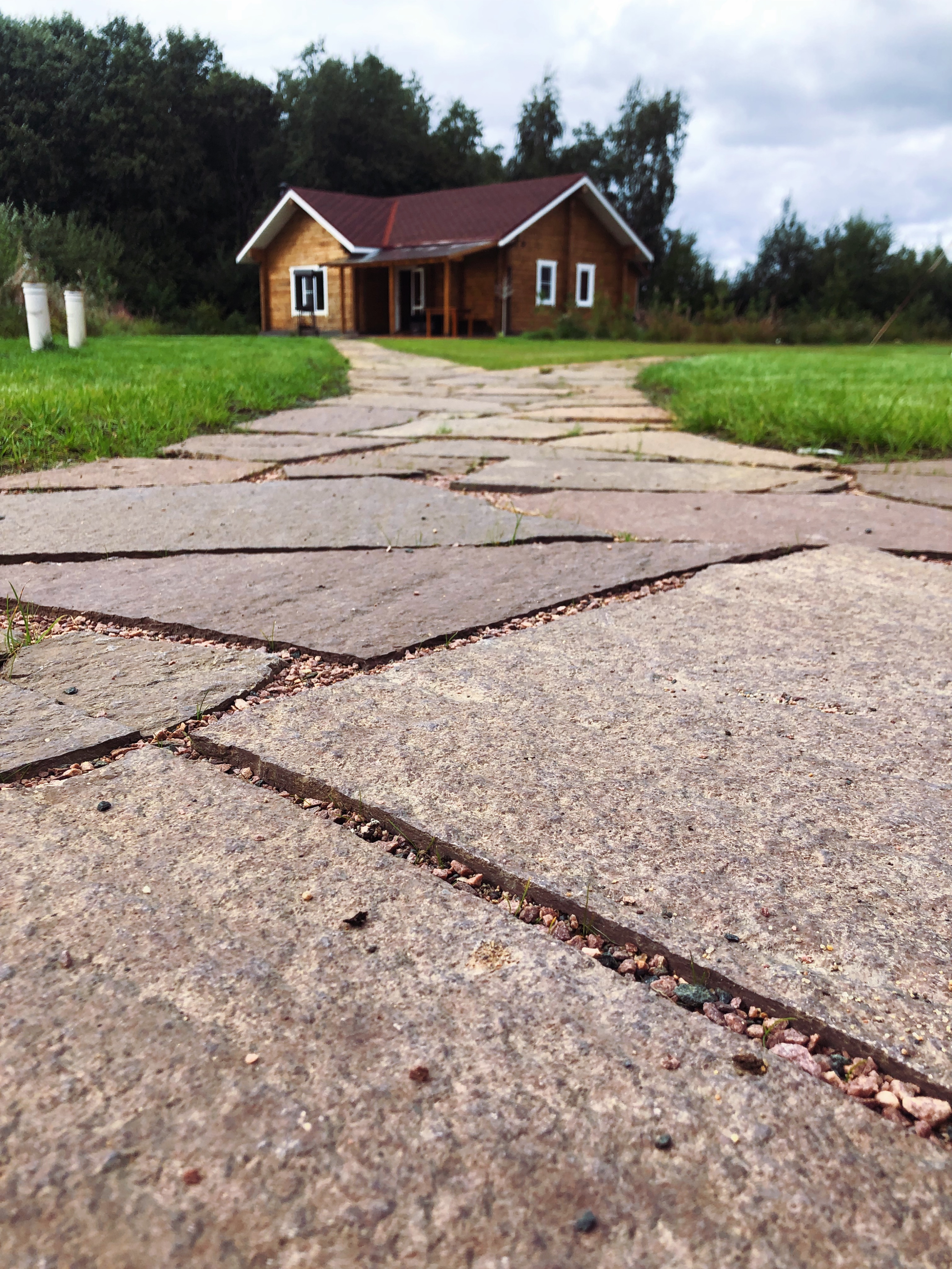 Фото Крокус