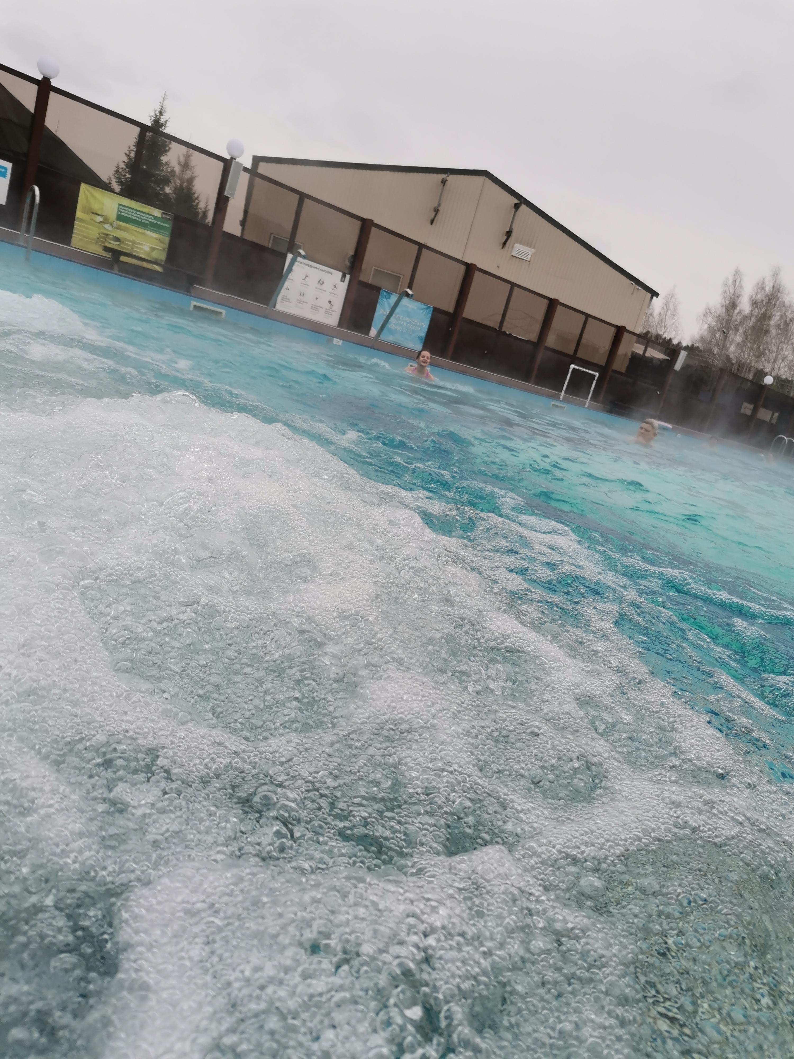 Фото Белая лошадь