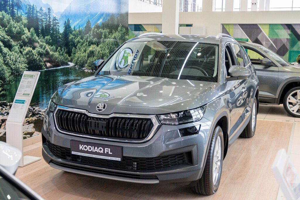 Автосалон ŠKODA Агат на Комсомольском, Нижний Новгород, фото