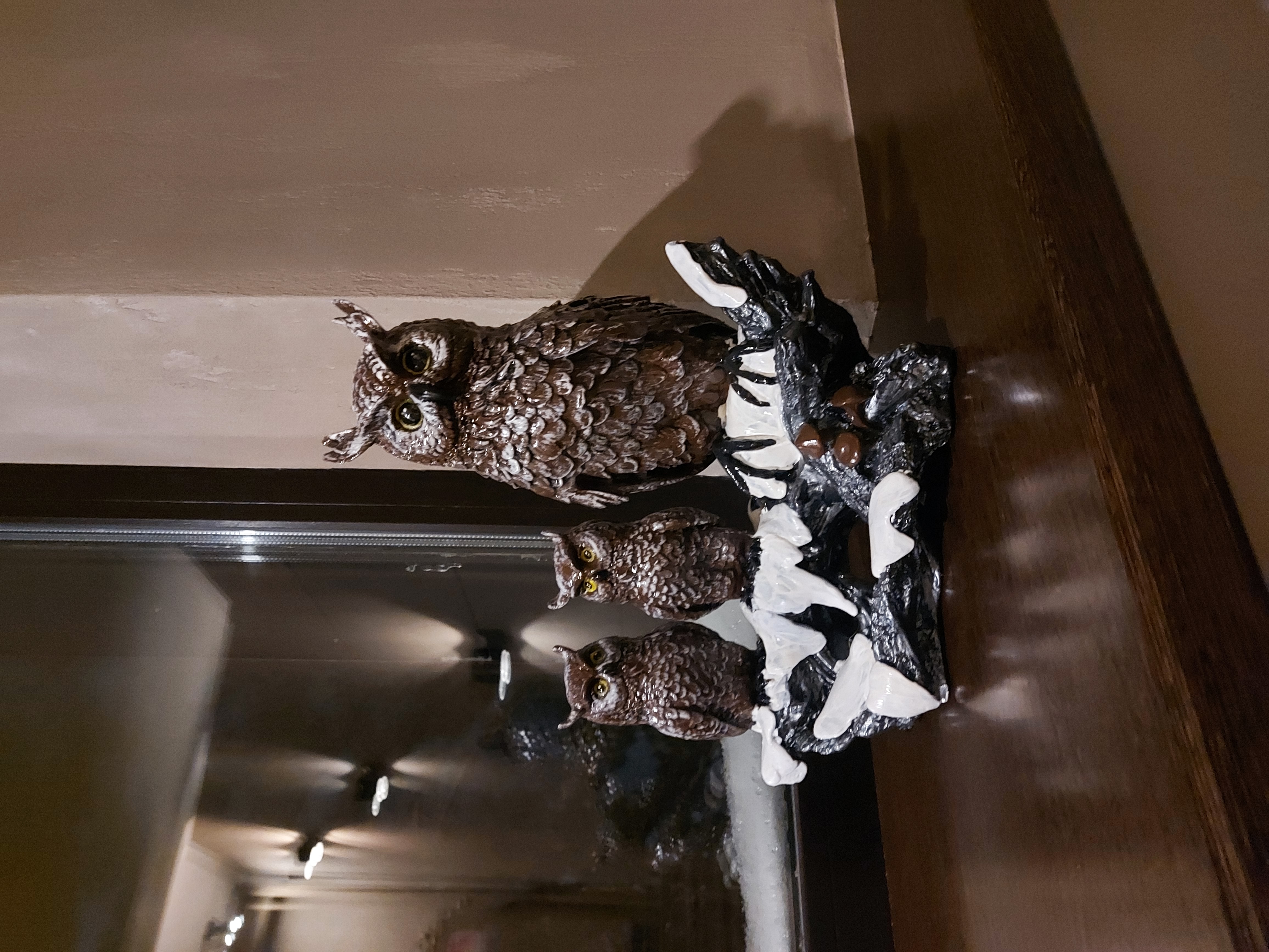 Фото Три СовЫ