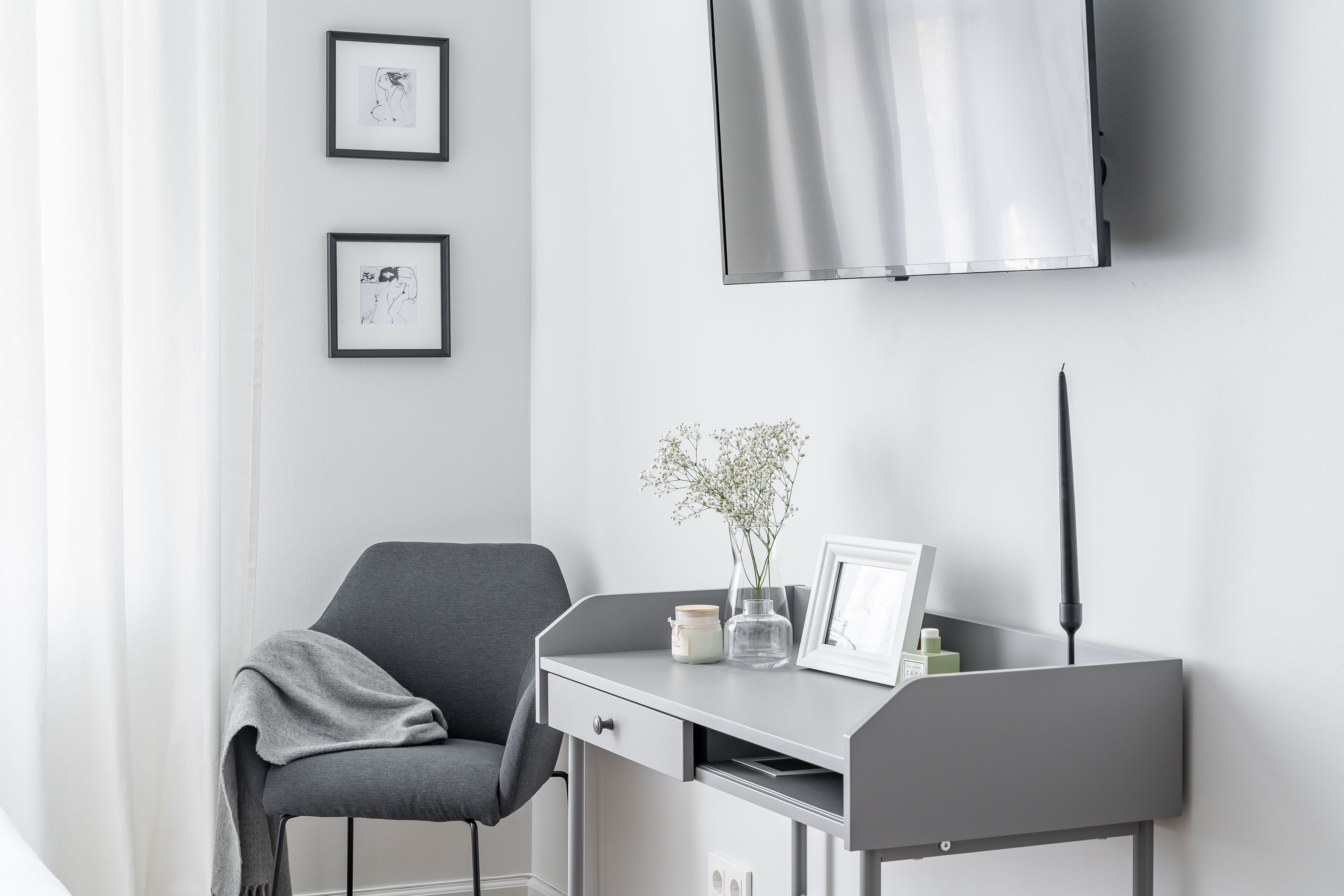 Фото Абрикосовое дерево Елагин