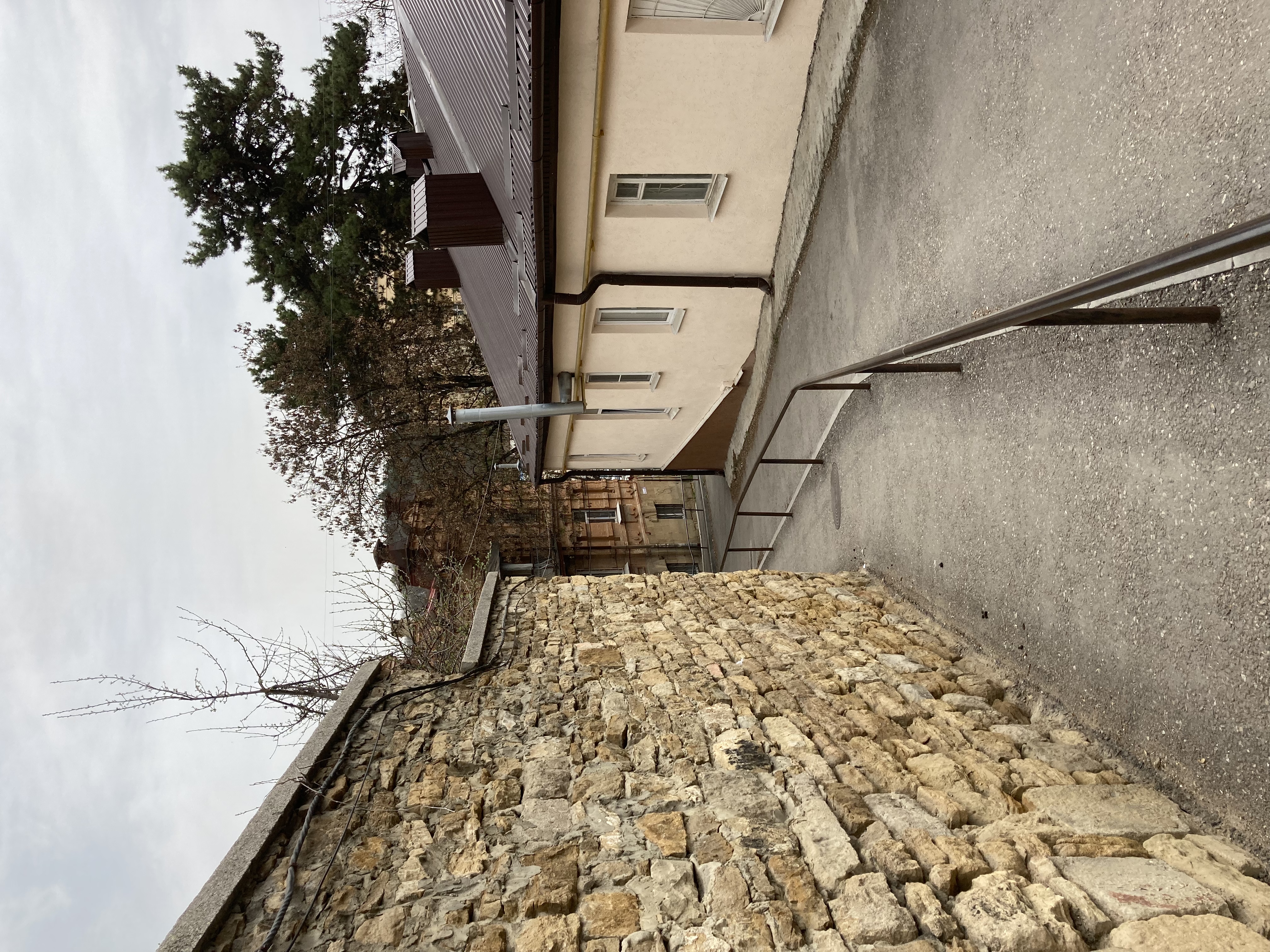 Фото Ласточка