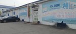 Игрушки на Тимирязева Иркутск (Timiryazev street, 18/2) ، دمى وألعاب