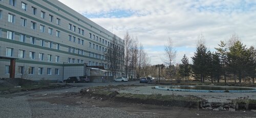 Hospital Gbuzlo Toksovskaya rayonnaya bolnitsa, Saint‑Petersburg and Leningrad Oblast, photo