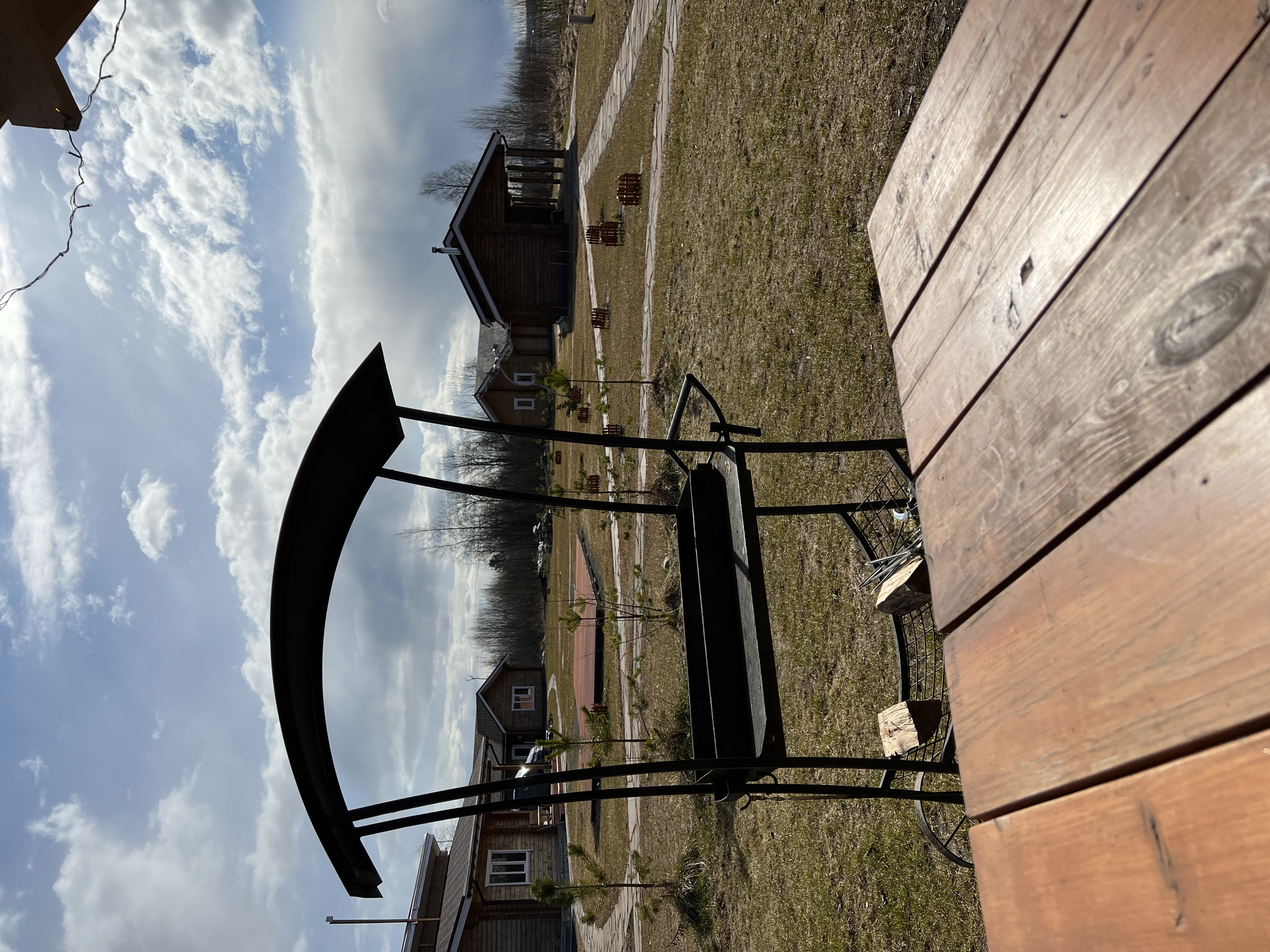 Фото Крокус