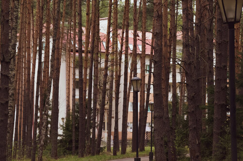 Санаторий Ясные зори в Ярославской области