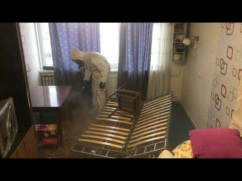 Disinfection, disinsection, deratization Волгоградская Служба Дезинсекции, Volgograd, photo