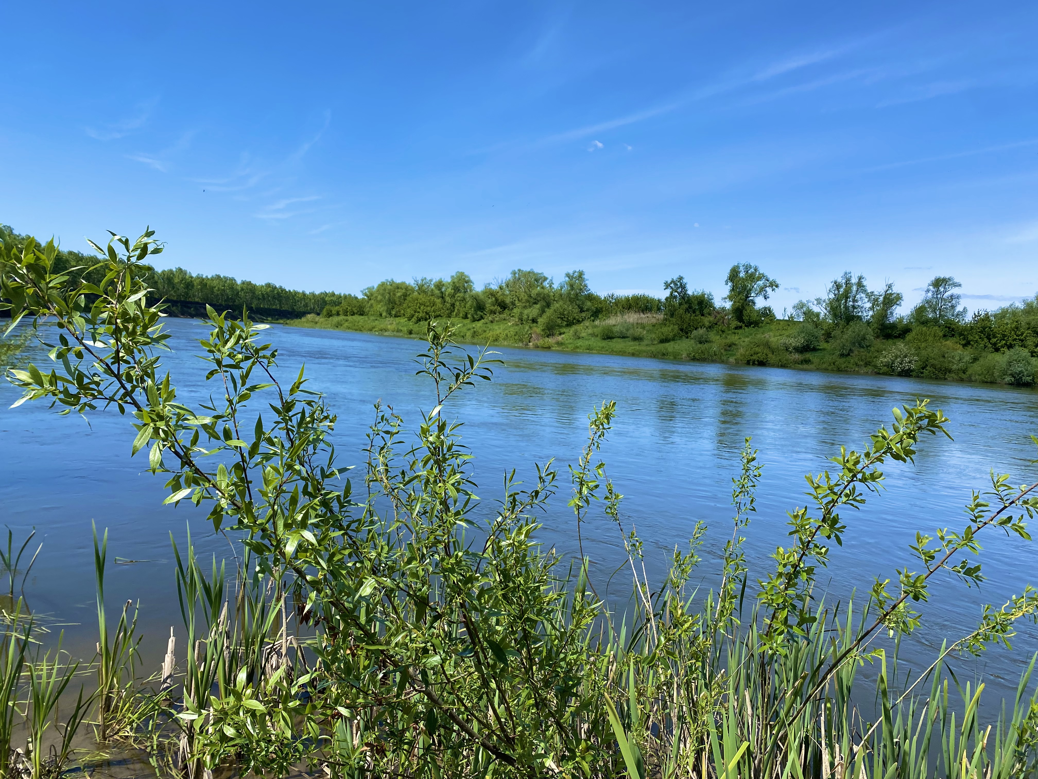 Фото ДонДом