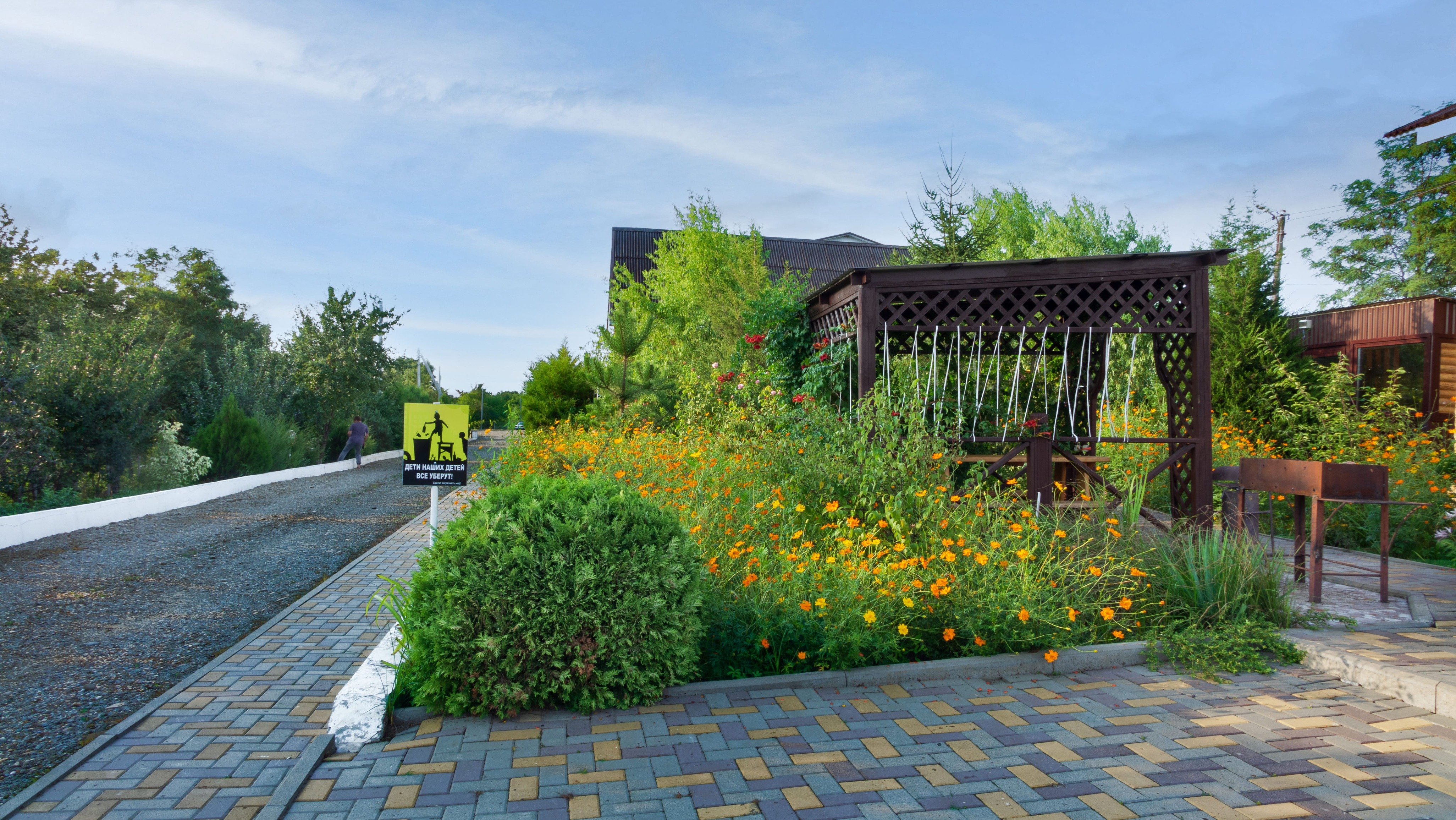 Фото Золотая рыбка