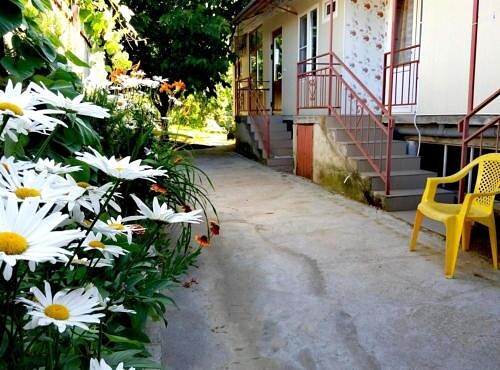 Фото Олеандр