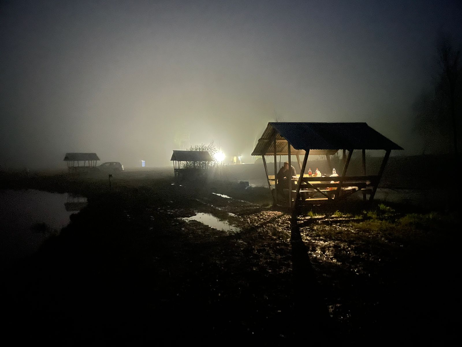 Фото Место клёва