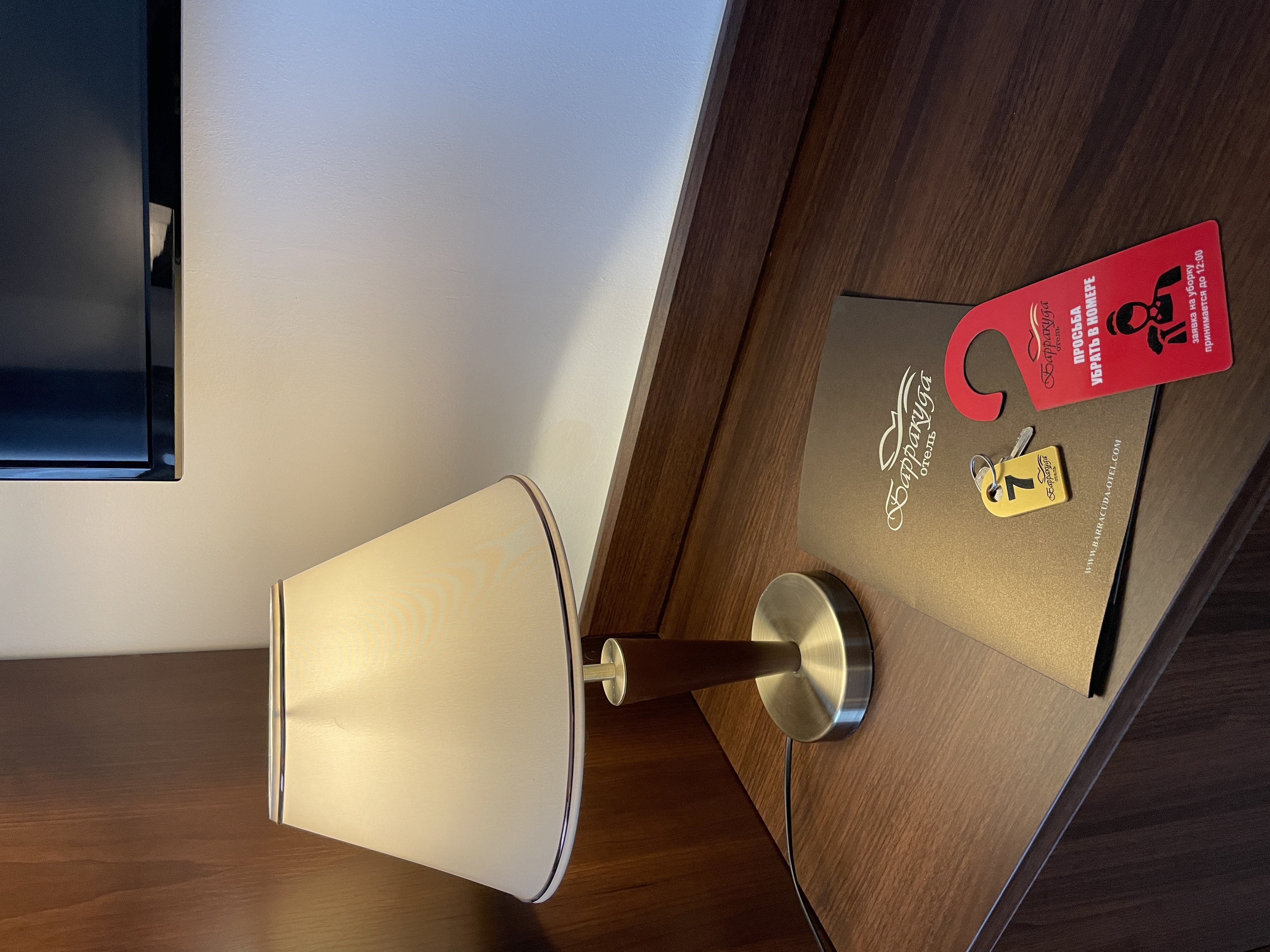 Фото Барракуда