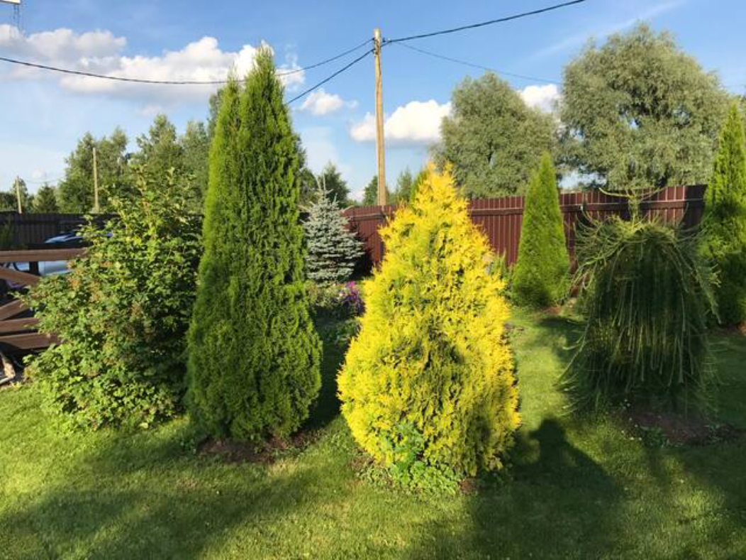 Фото Smaland FamilyHouse