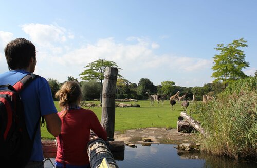 Внешний вид отеля Best Western Hotel Windorf в Лейпциге, фото 1