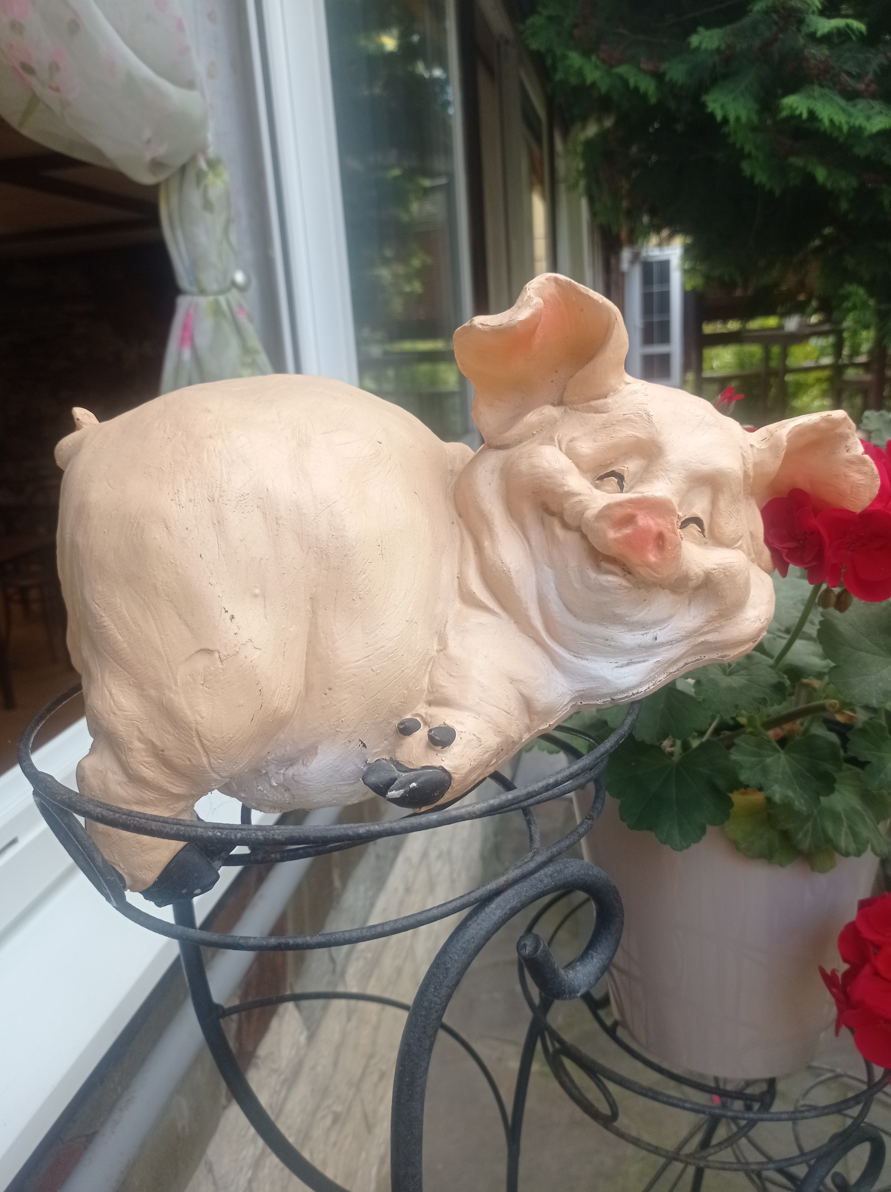 Фото Ромашка