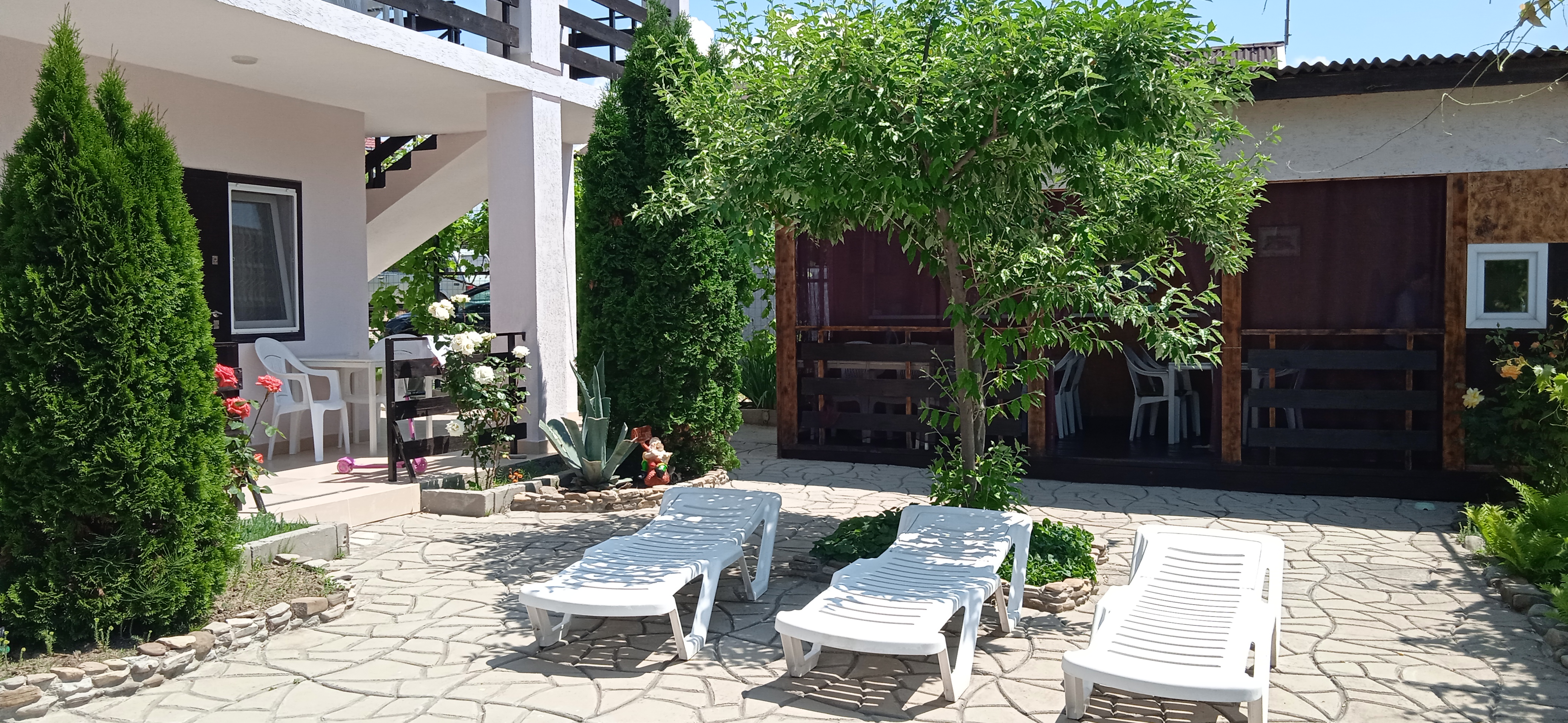 Фото Пчелка