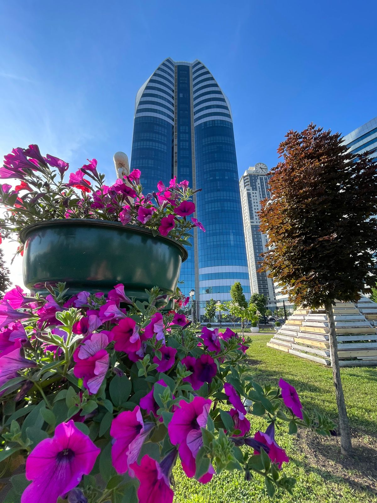 Фото Беркат