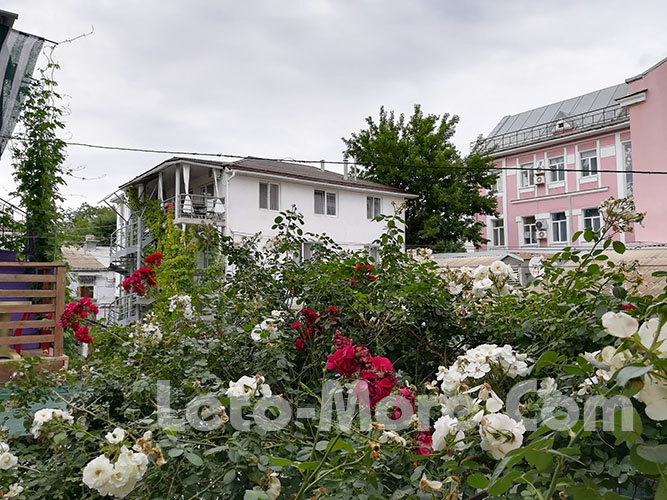 Фото Лето-Море