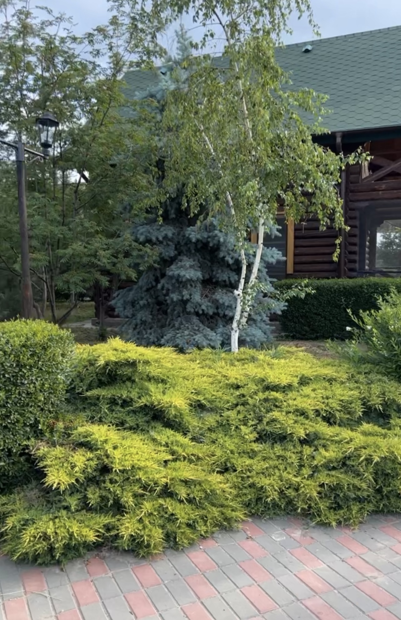 Фото Барвиха